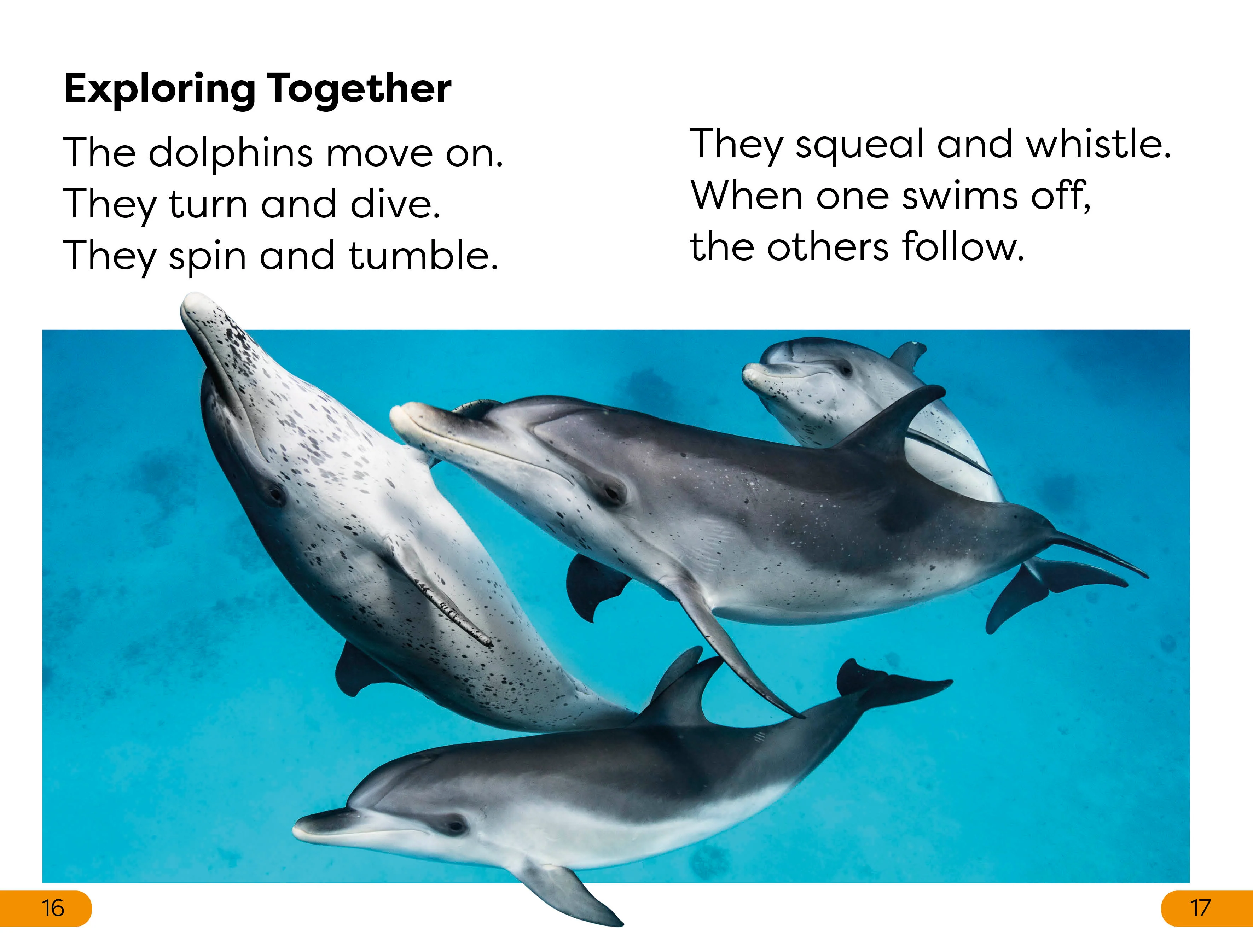 DK Super Readers Level 1 Diving Dolphin - Image 3