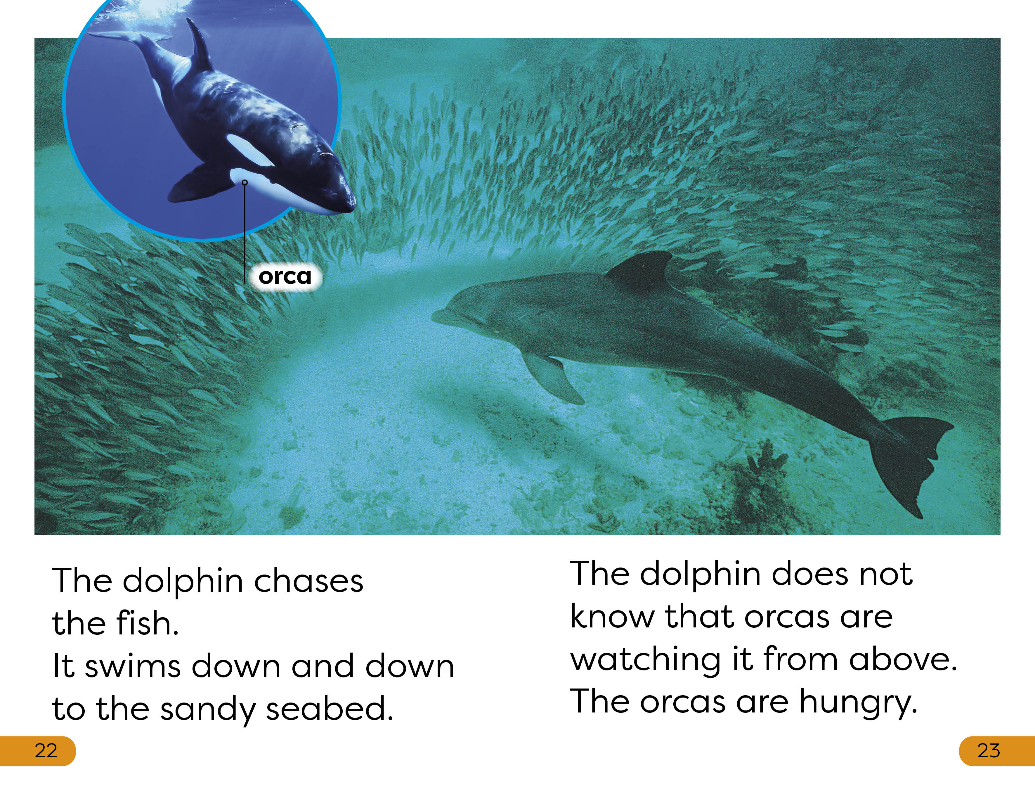 DK Super Readers Level 1 Diving Dolphin - Image 4