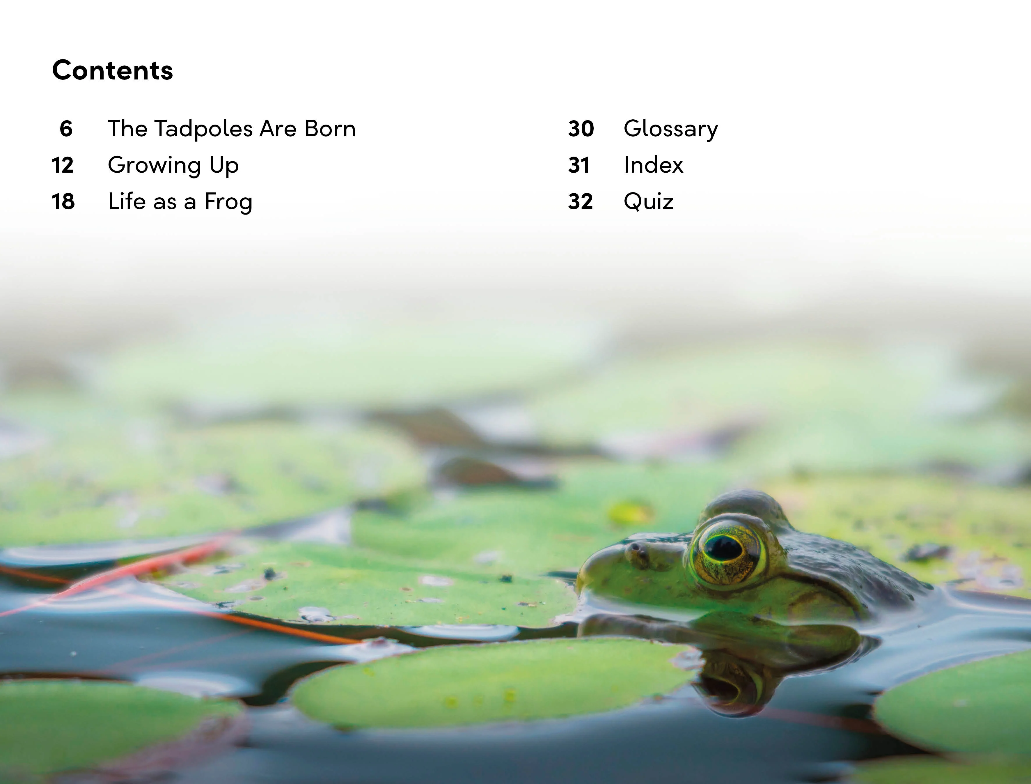 DK Super Readers Level 2 Tale of a Tadpole - Image 2