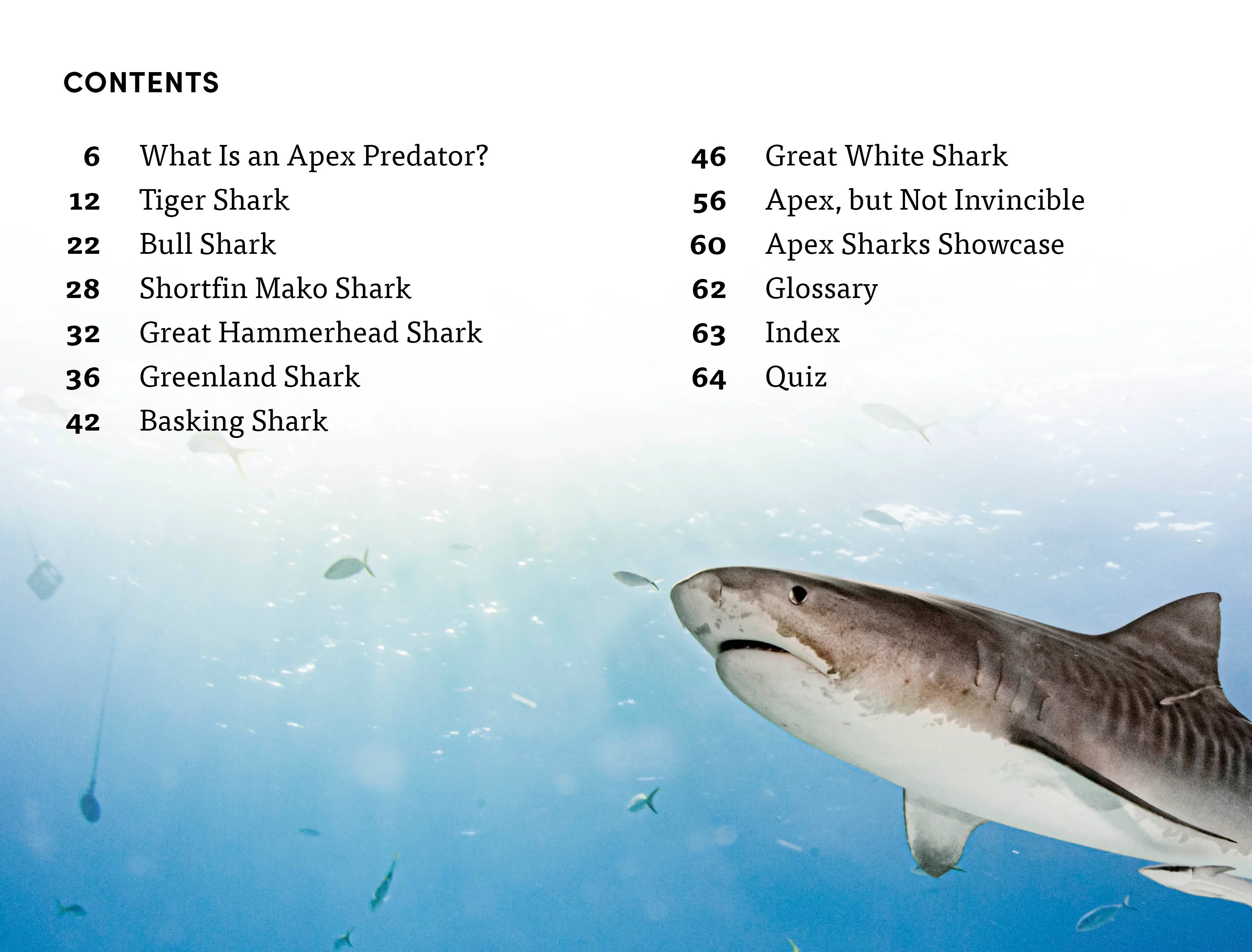 DK Super Readers Level 4 Shark: Apex Predator - Image 2