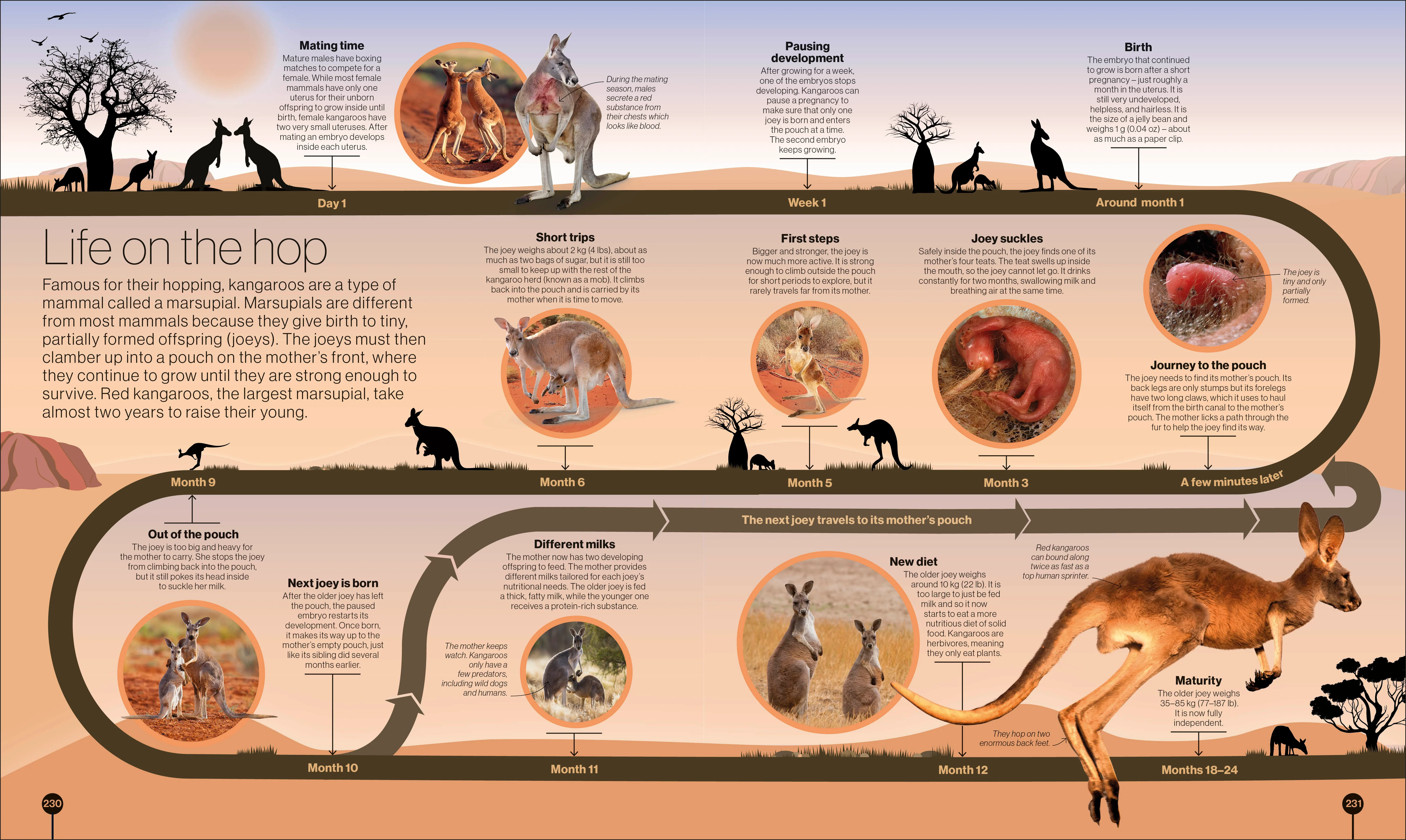 Timelines of Nature - Image 4