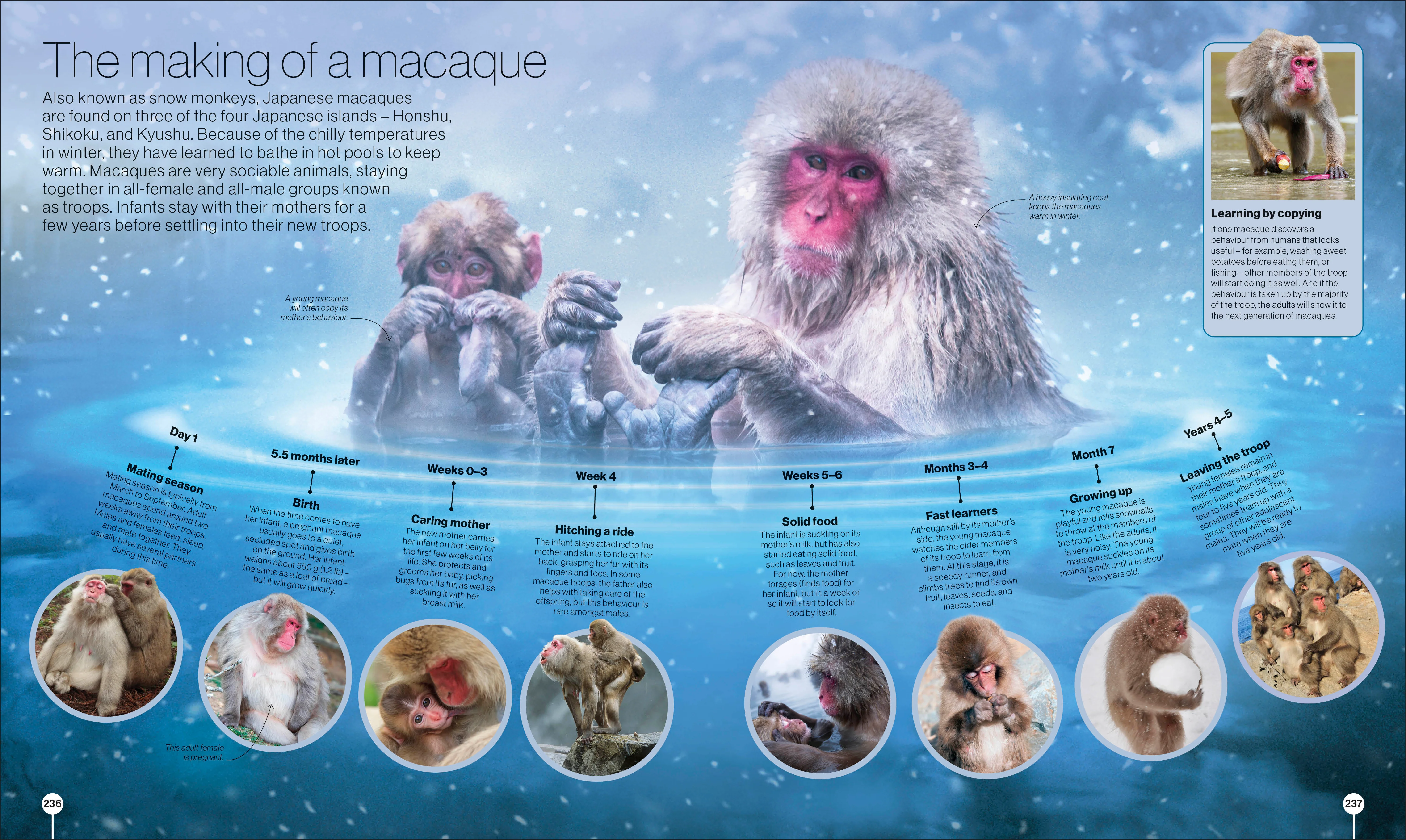 Timelines of Nature - Image 5