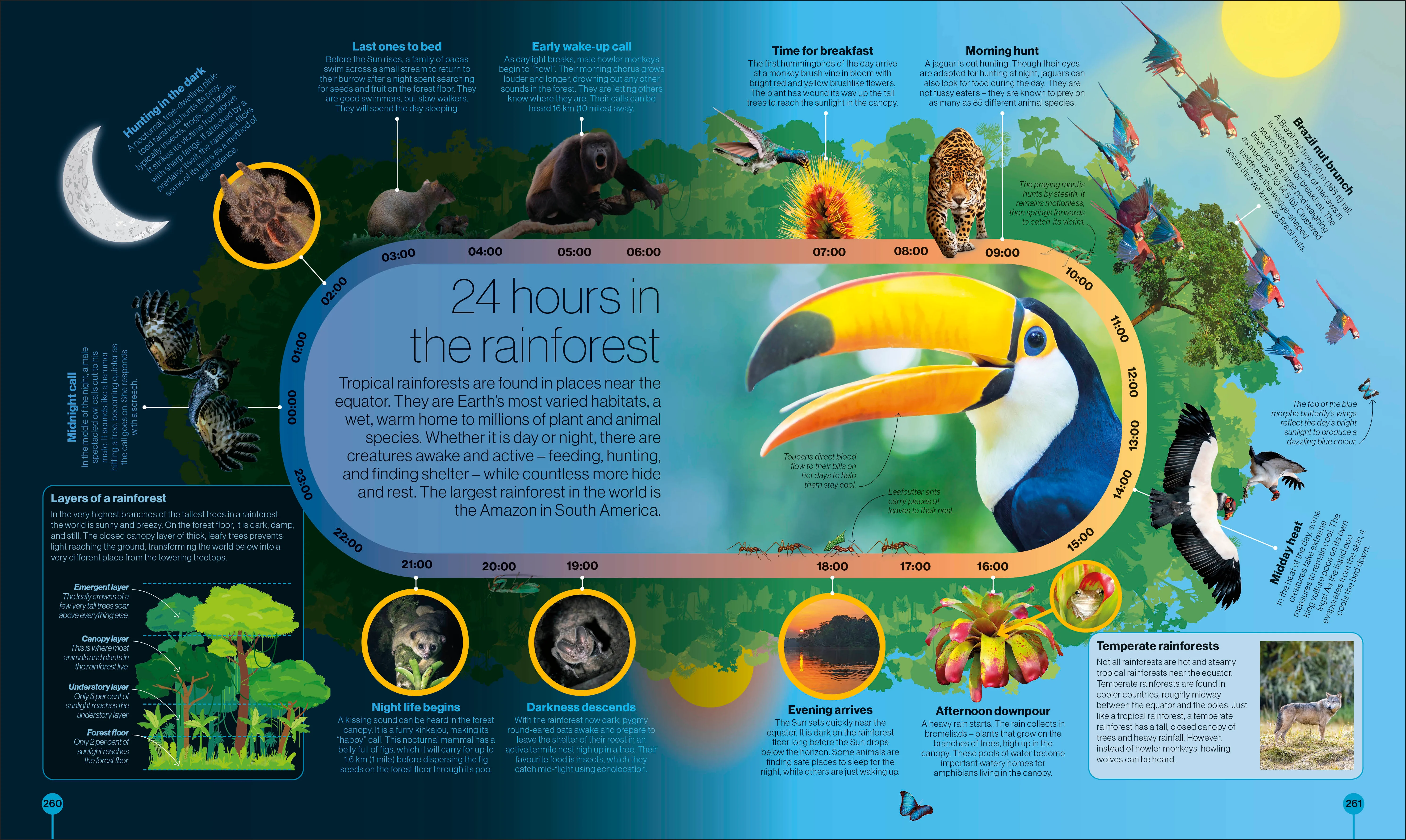 Timelines of Nature - Image 6