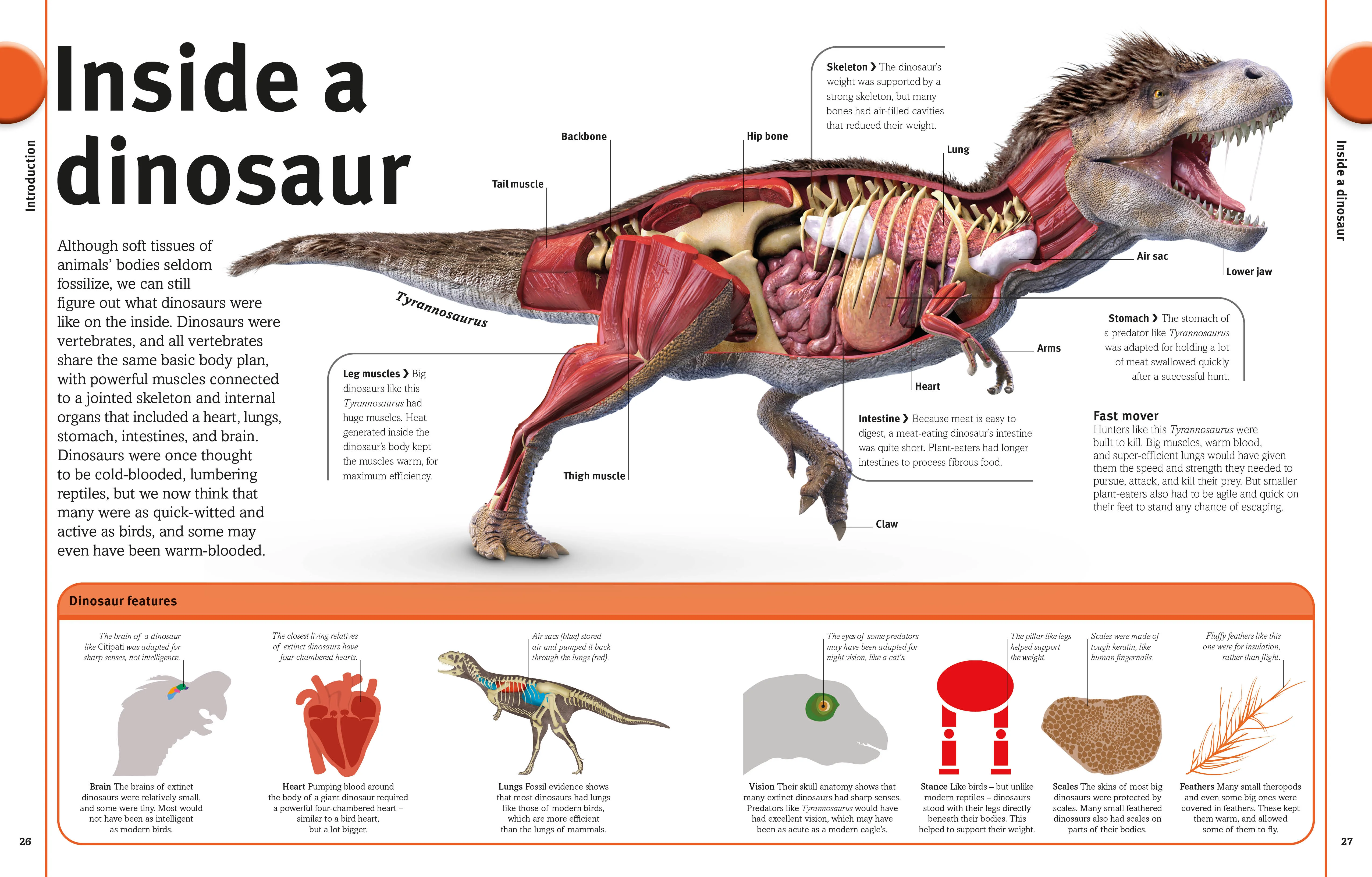 The Dinosaur Book - Image 2
