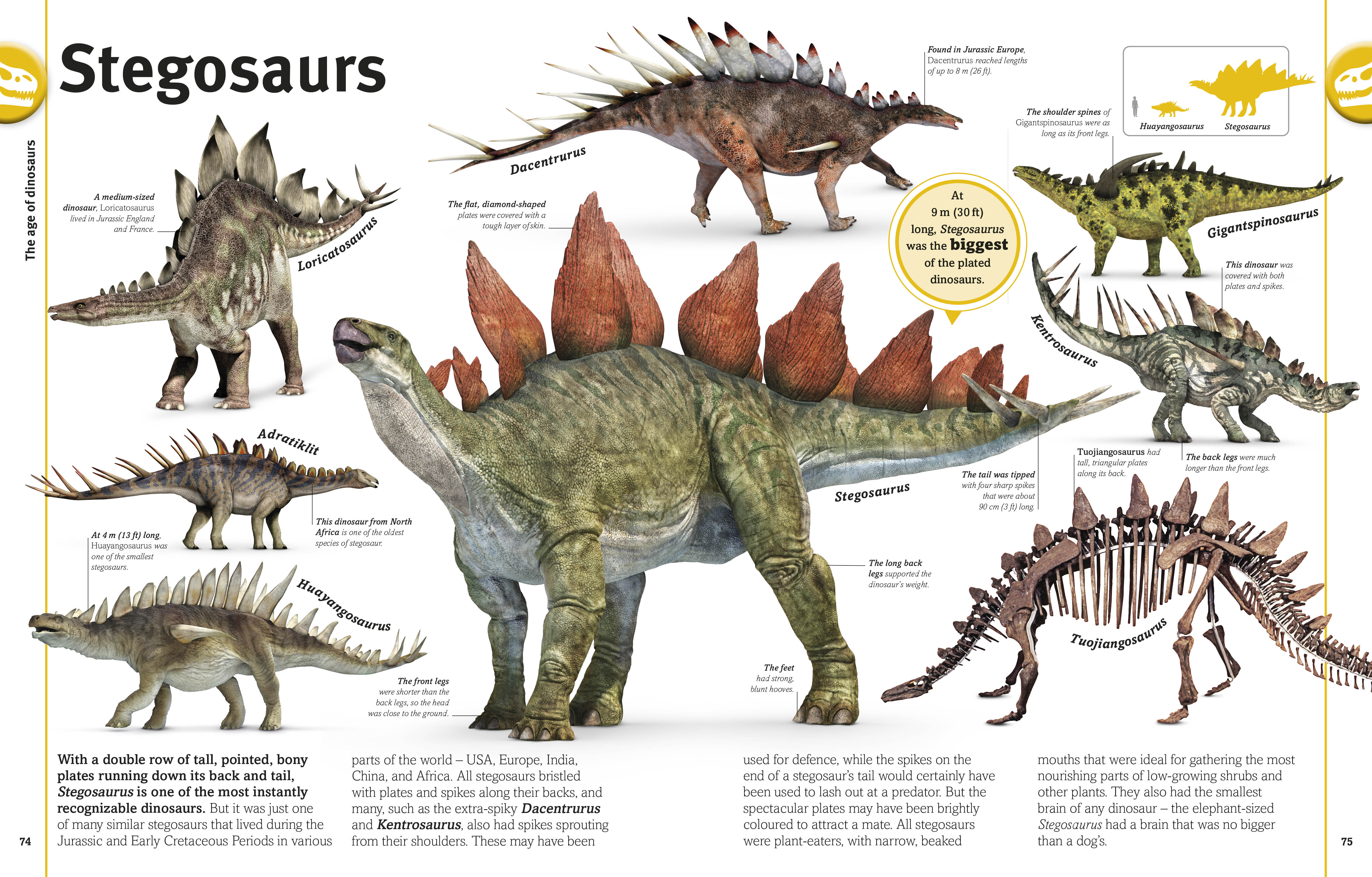 The Dinosaur Book - Image 3