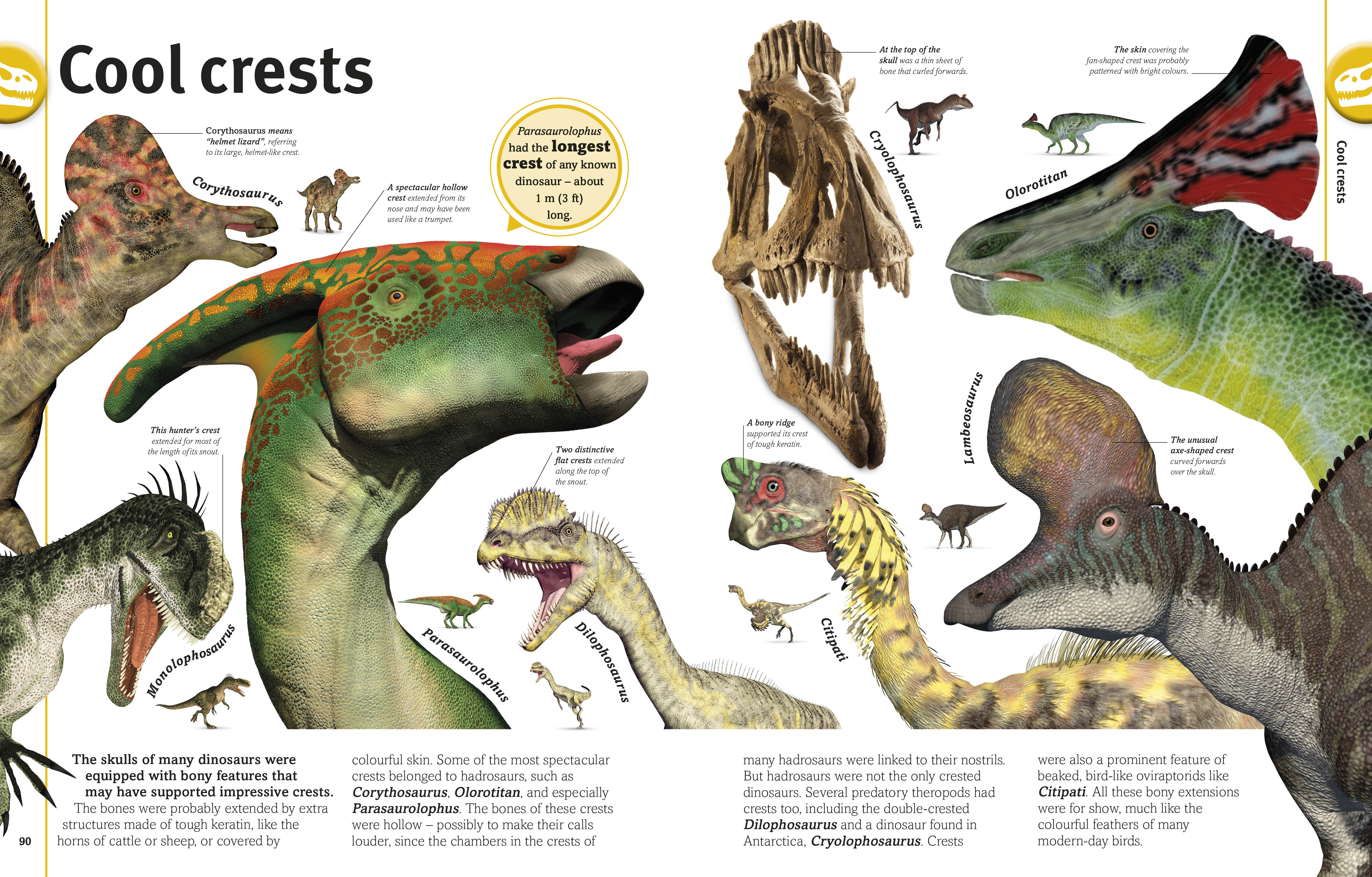 The Dinosaur Book - Image 4