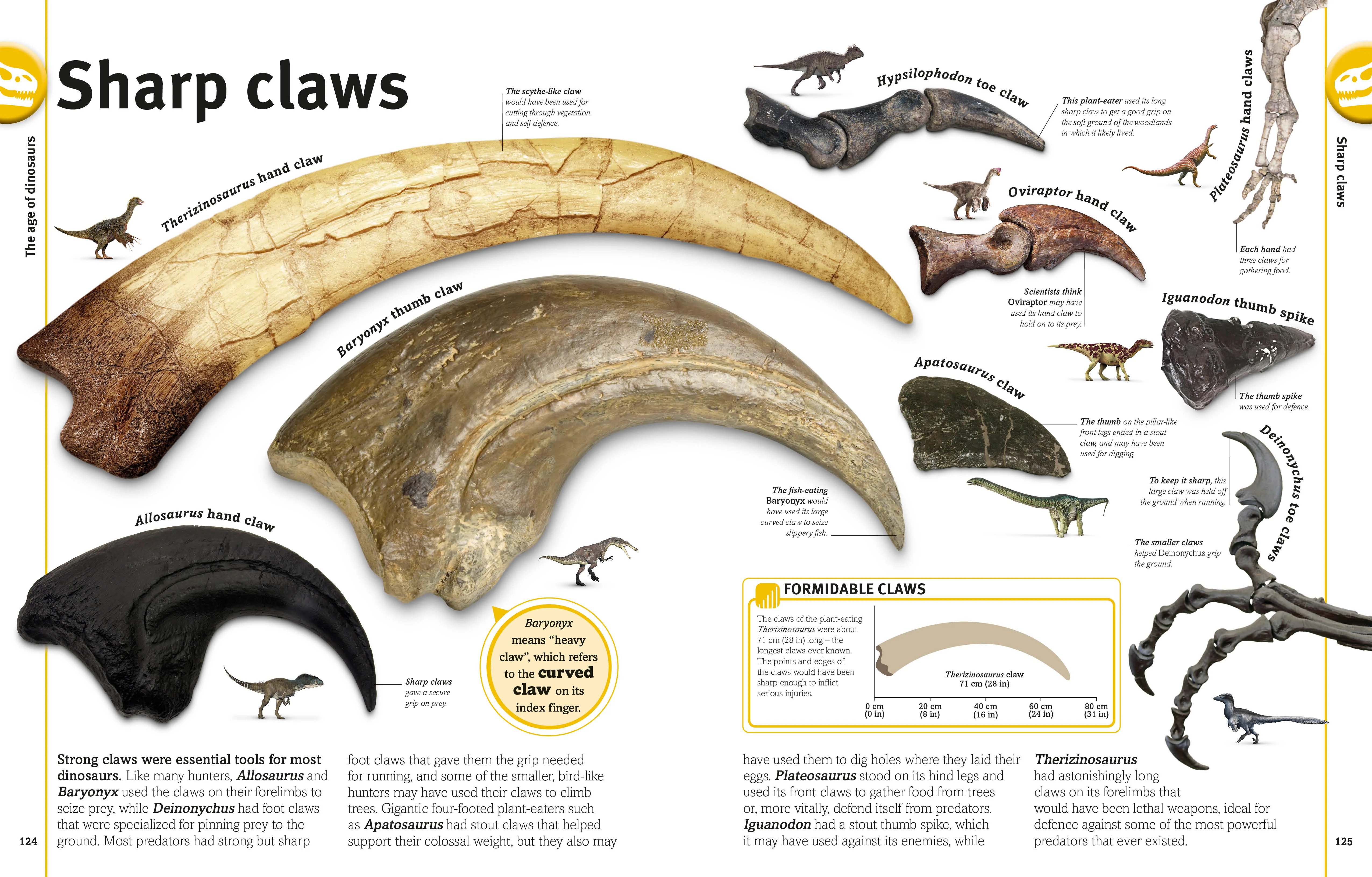 The Dinosaur Book - Image 5