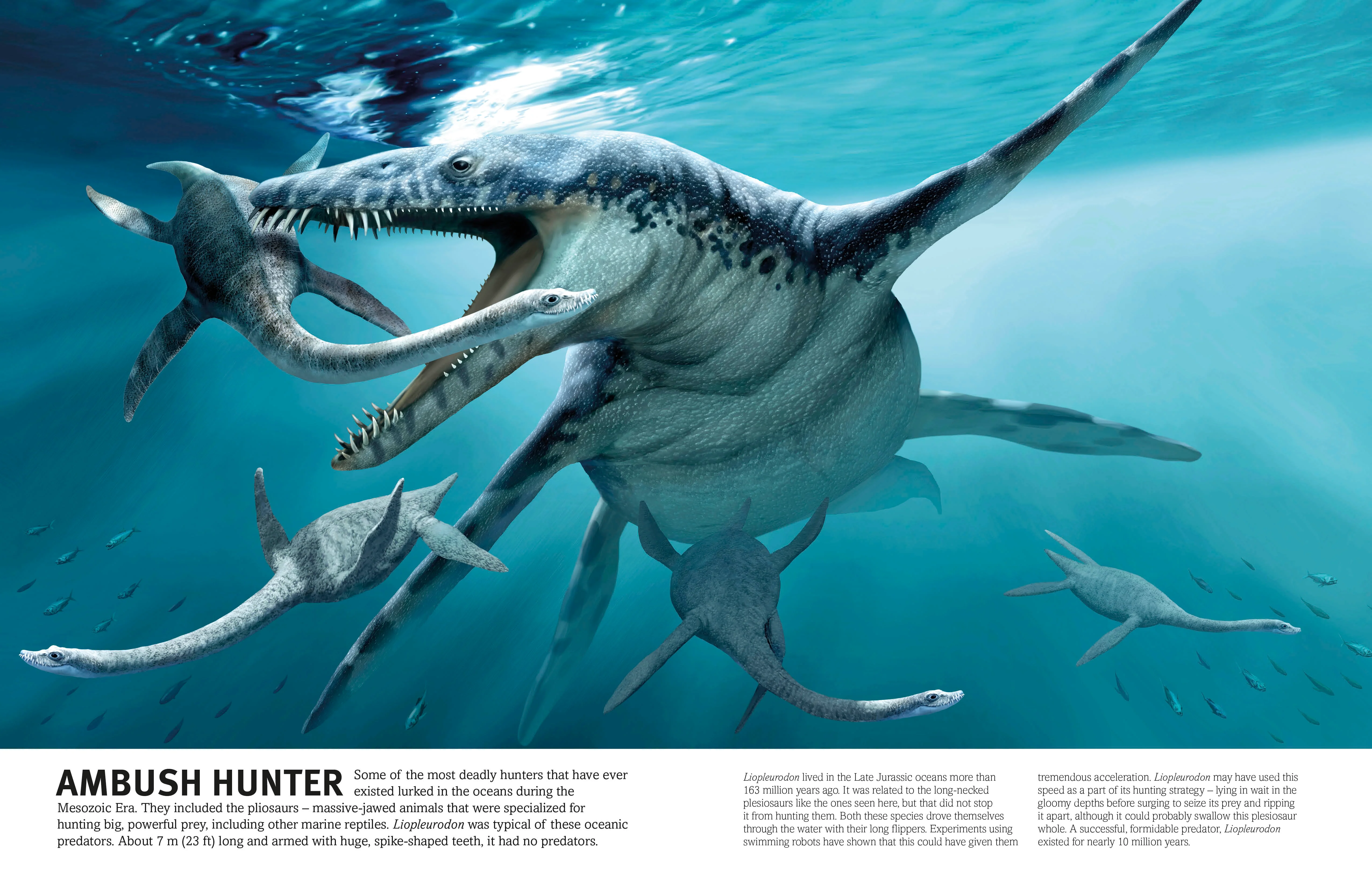 The Dinosaur Book - Image 6