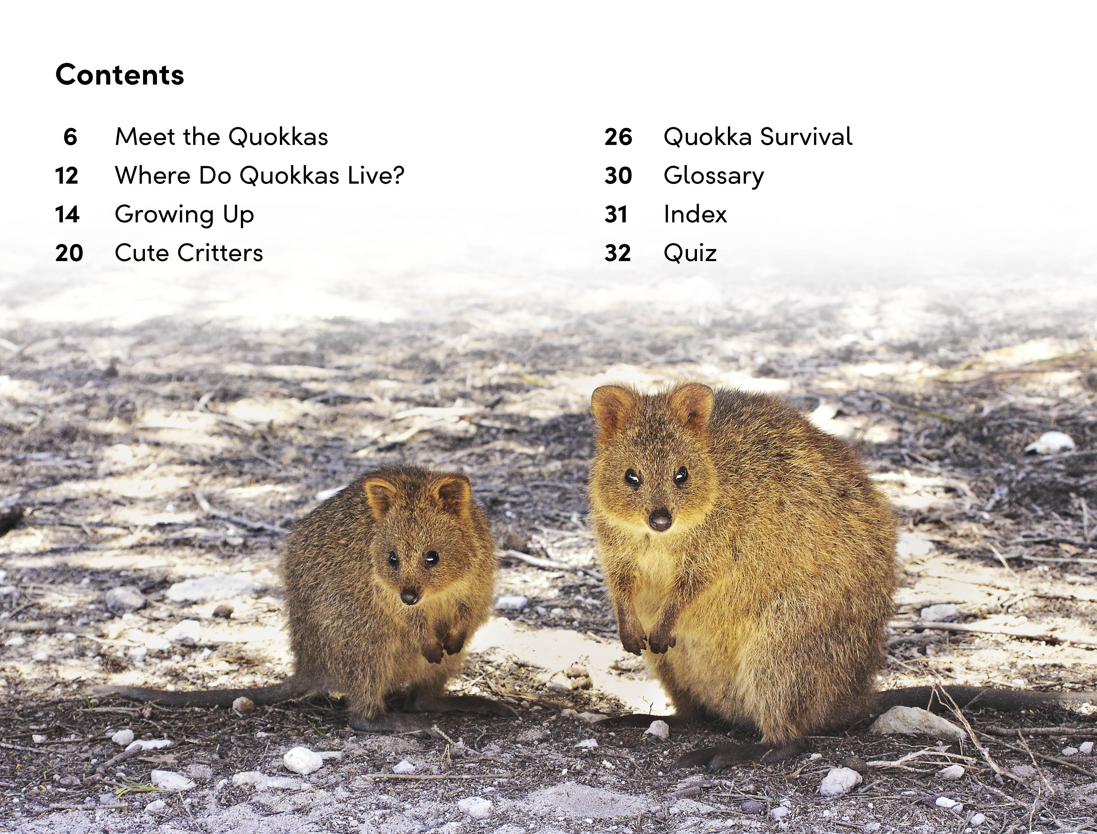 DK Super Readers Level 2 Quokkas - Image 2