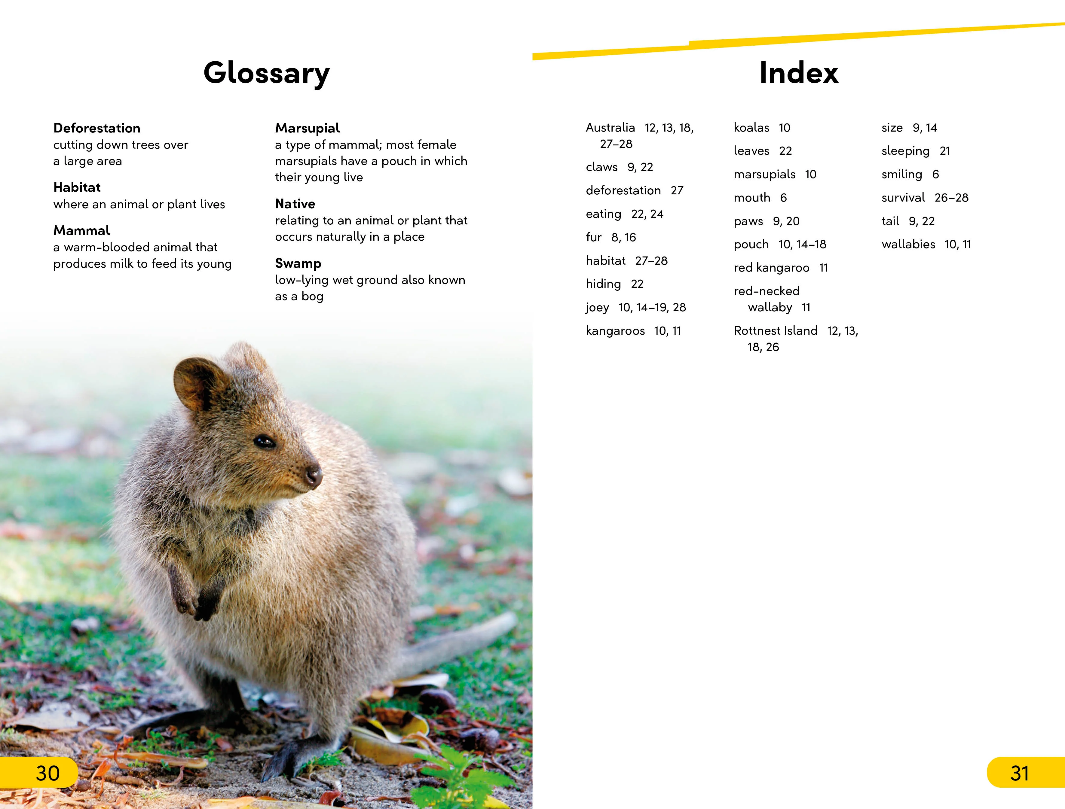 DK Super Readers Level 2 Quokkas - Image 5