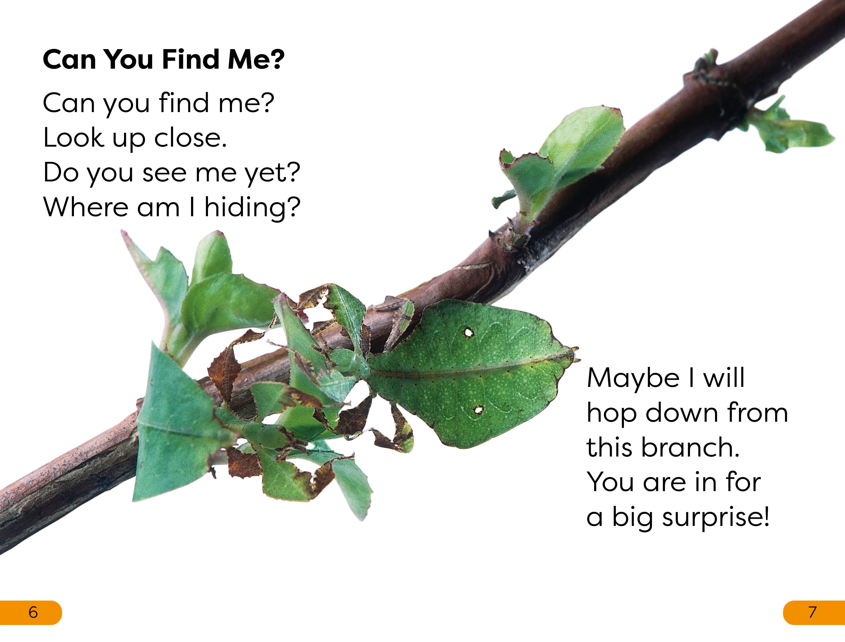 DK Super Readers Level 1 Bugs Hide and Seek - Image 3