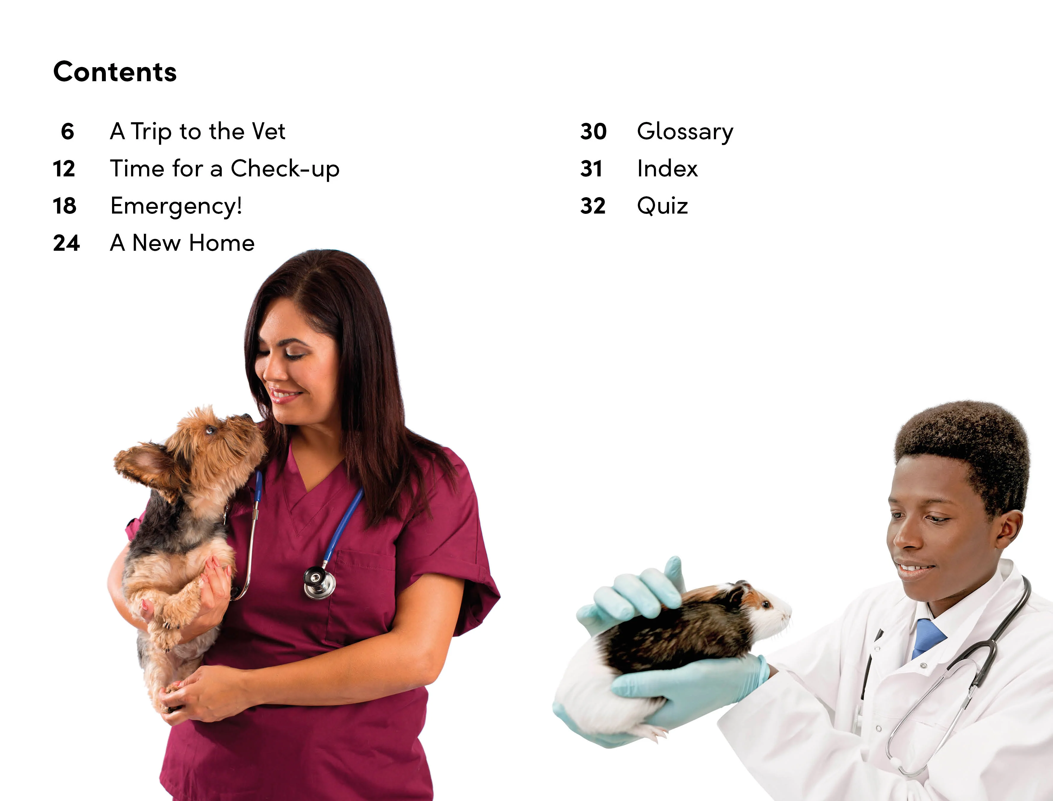 DK Super Readers Level 2 Animal Hospital - Image 2