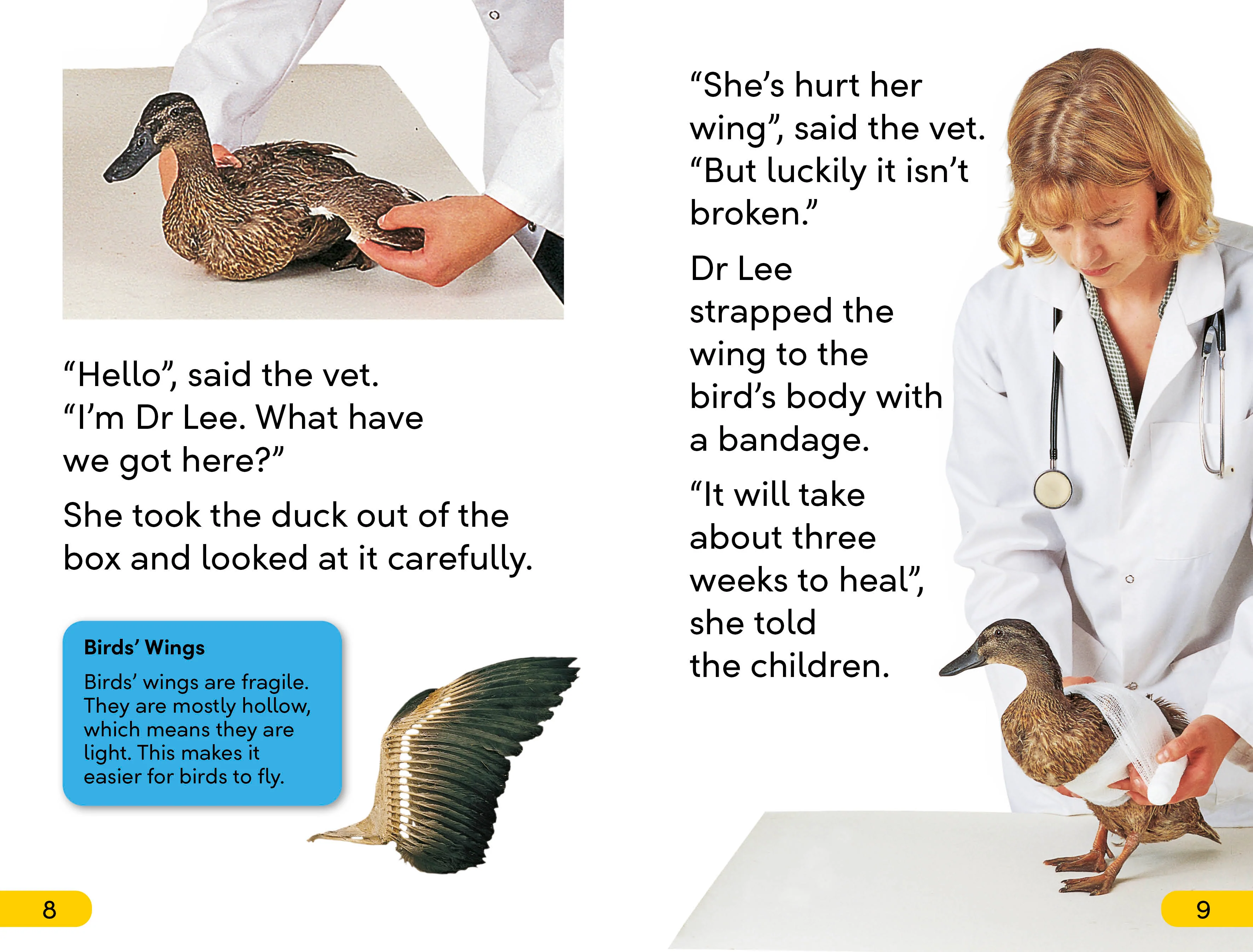 DK Super Readers Level 2 Animal Hospital - Image 3