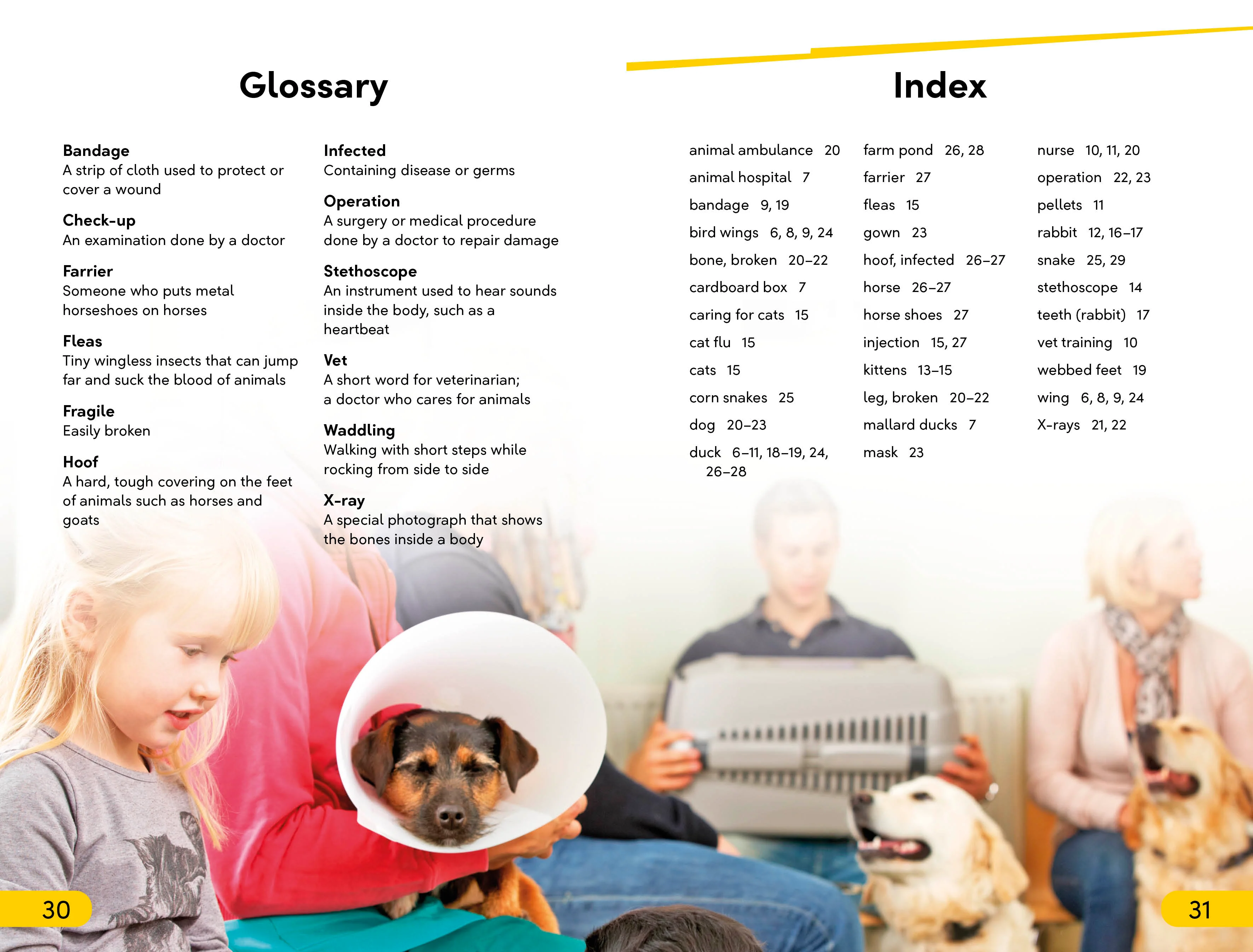 DK Super Readers Level 2 Animal Hospital - Image 5