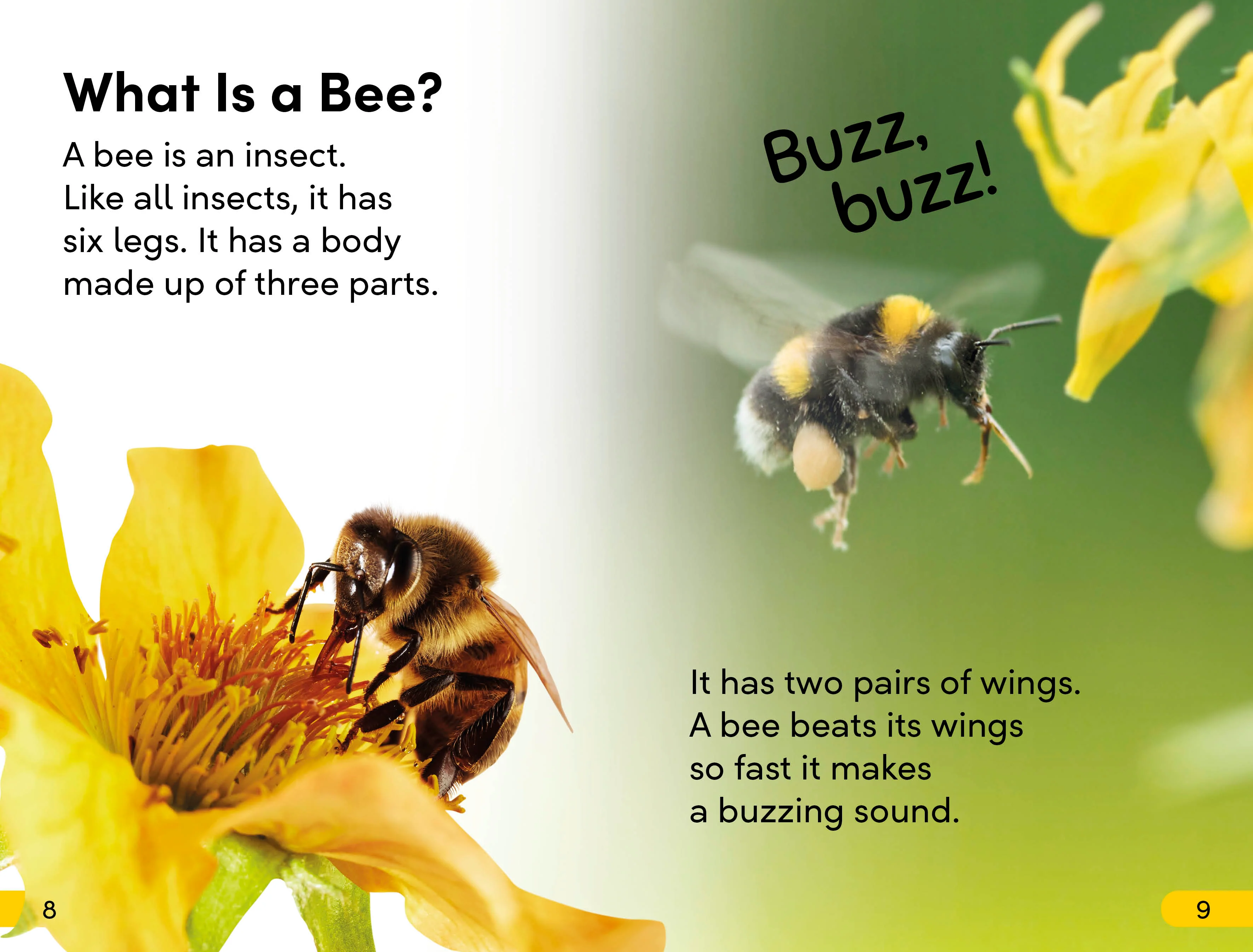 DK Super Readers Level 2 Amazing Bees - Image 3