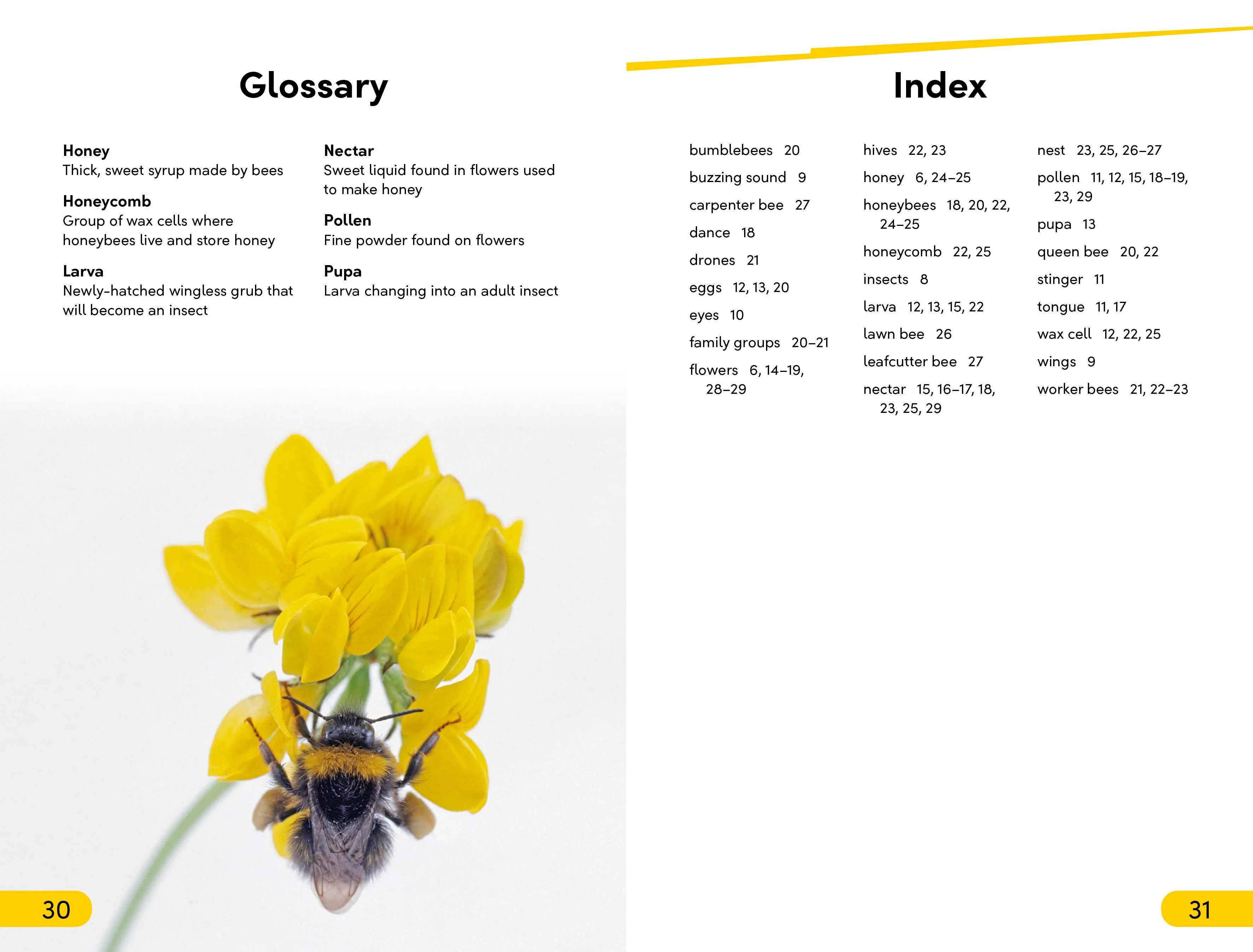 DK Super Readers Level 2 Amazing Bees - Image 5