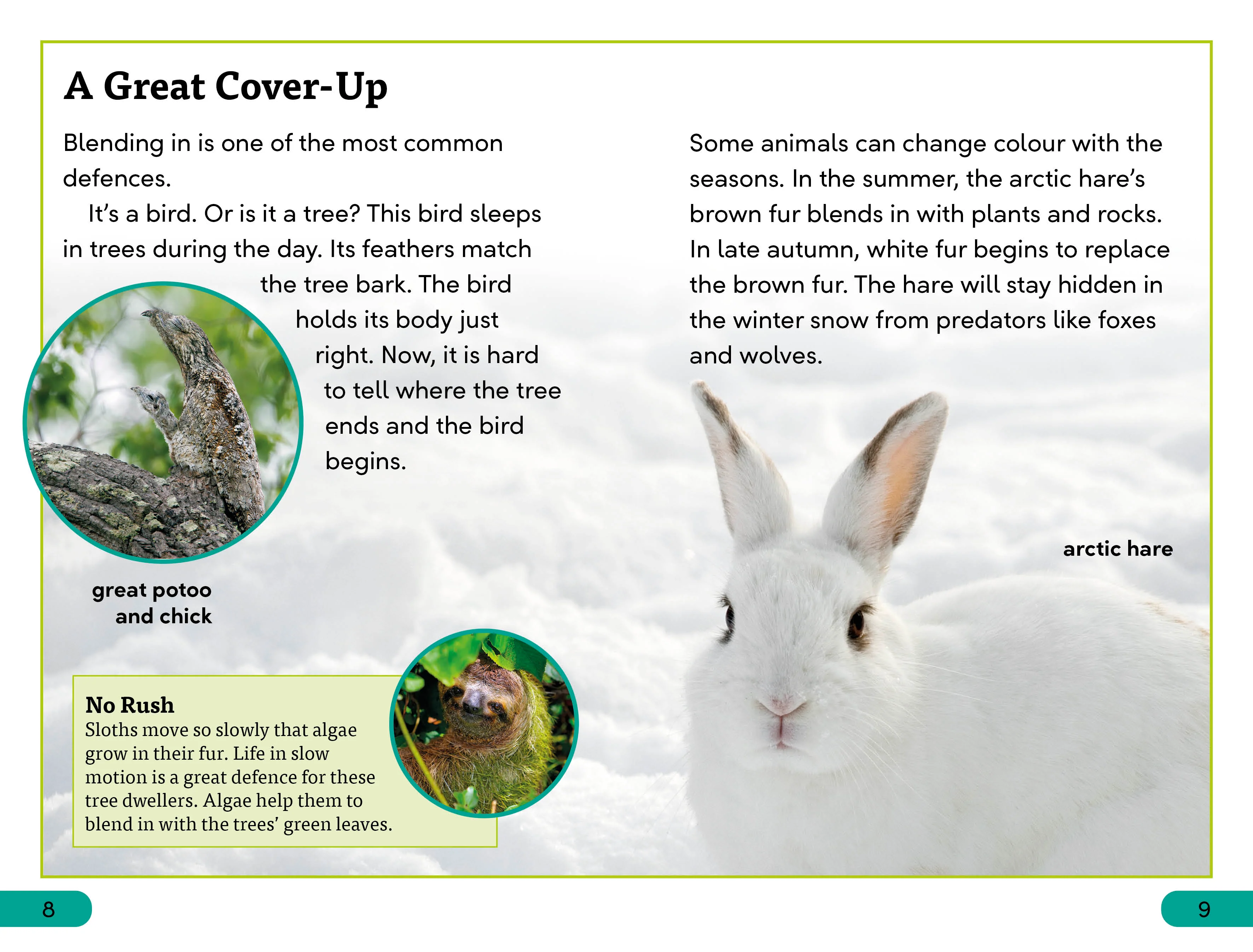 DK Super Readers Level 3 Animal Defences - Image 3