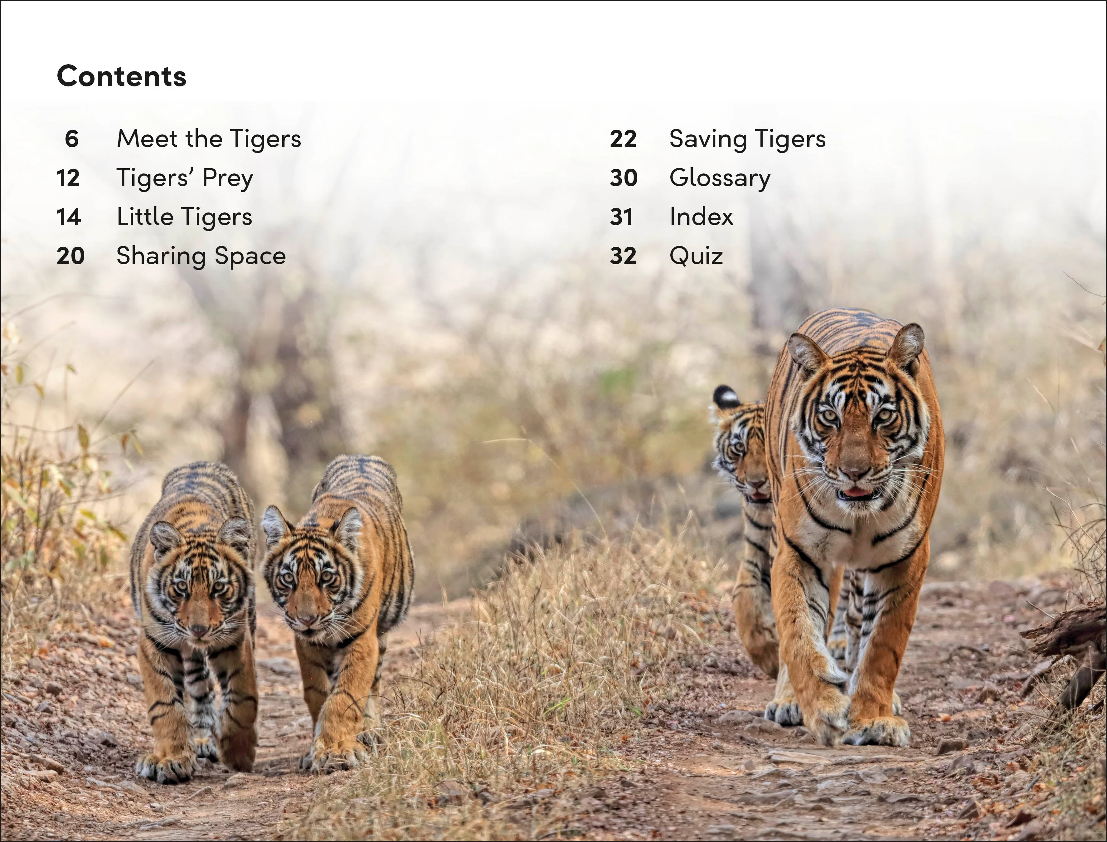 DK Super Readers Level 2 Save the Tigers - Image 2