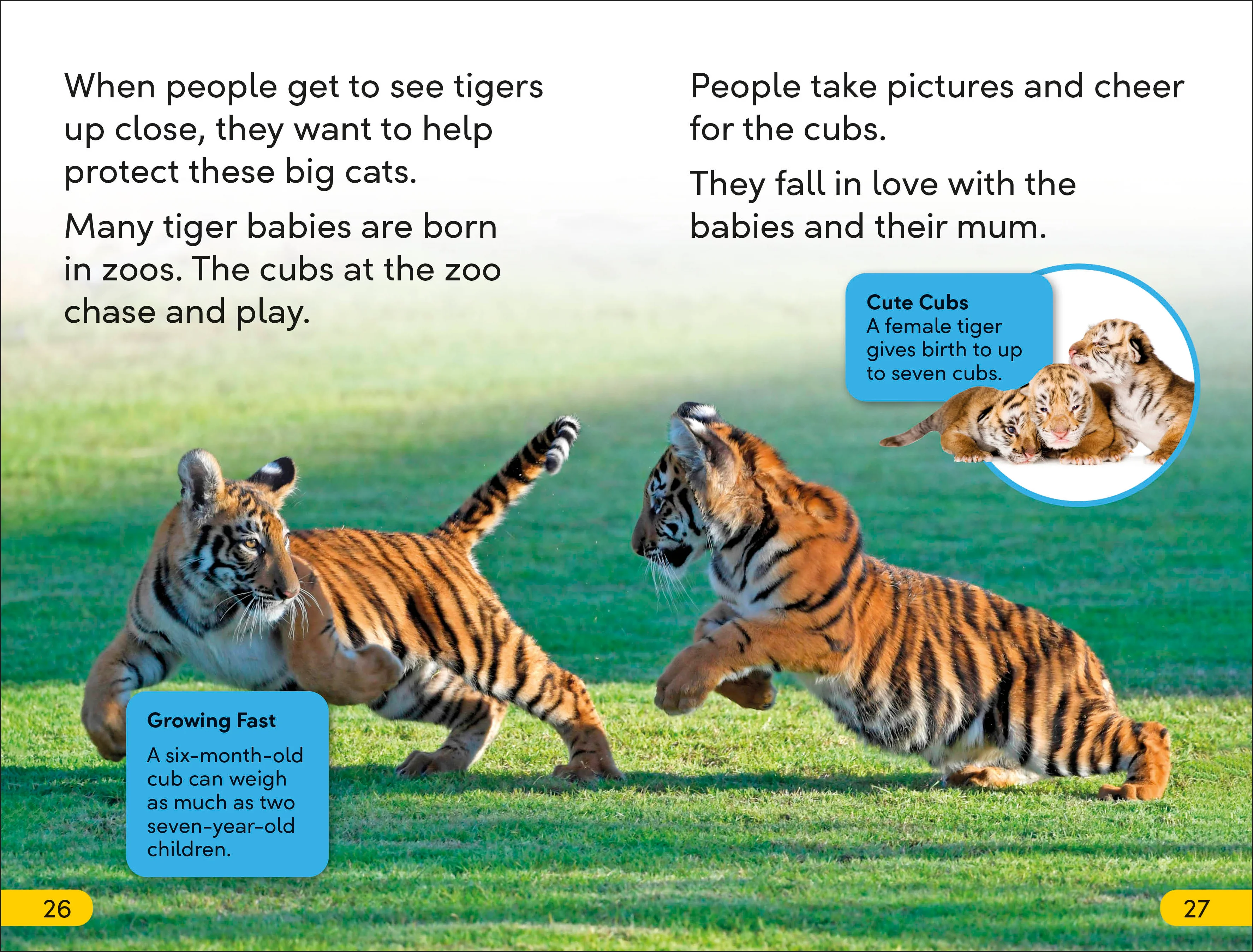 DK Super Readers Level 2 Save the Tigers - Image 4