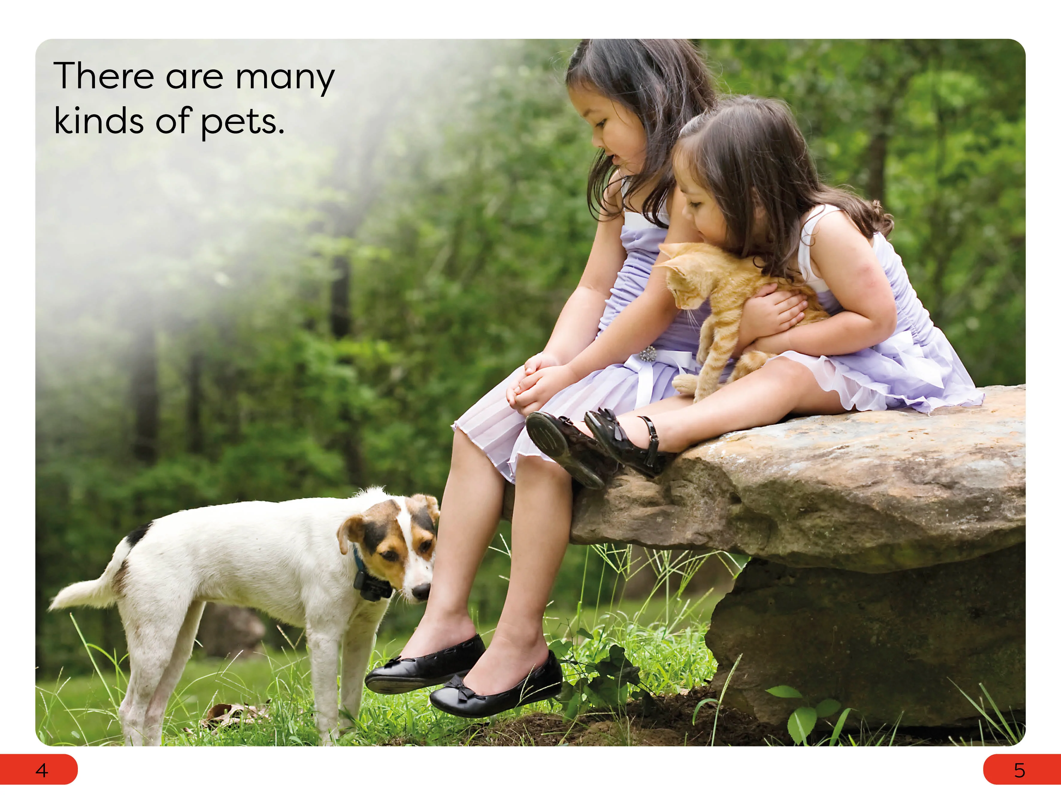 DK Super Readers Pre-Level Pets - Image 2