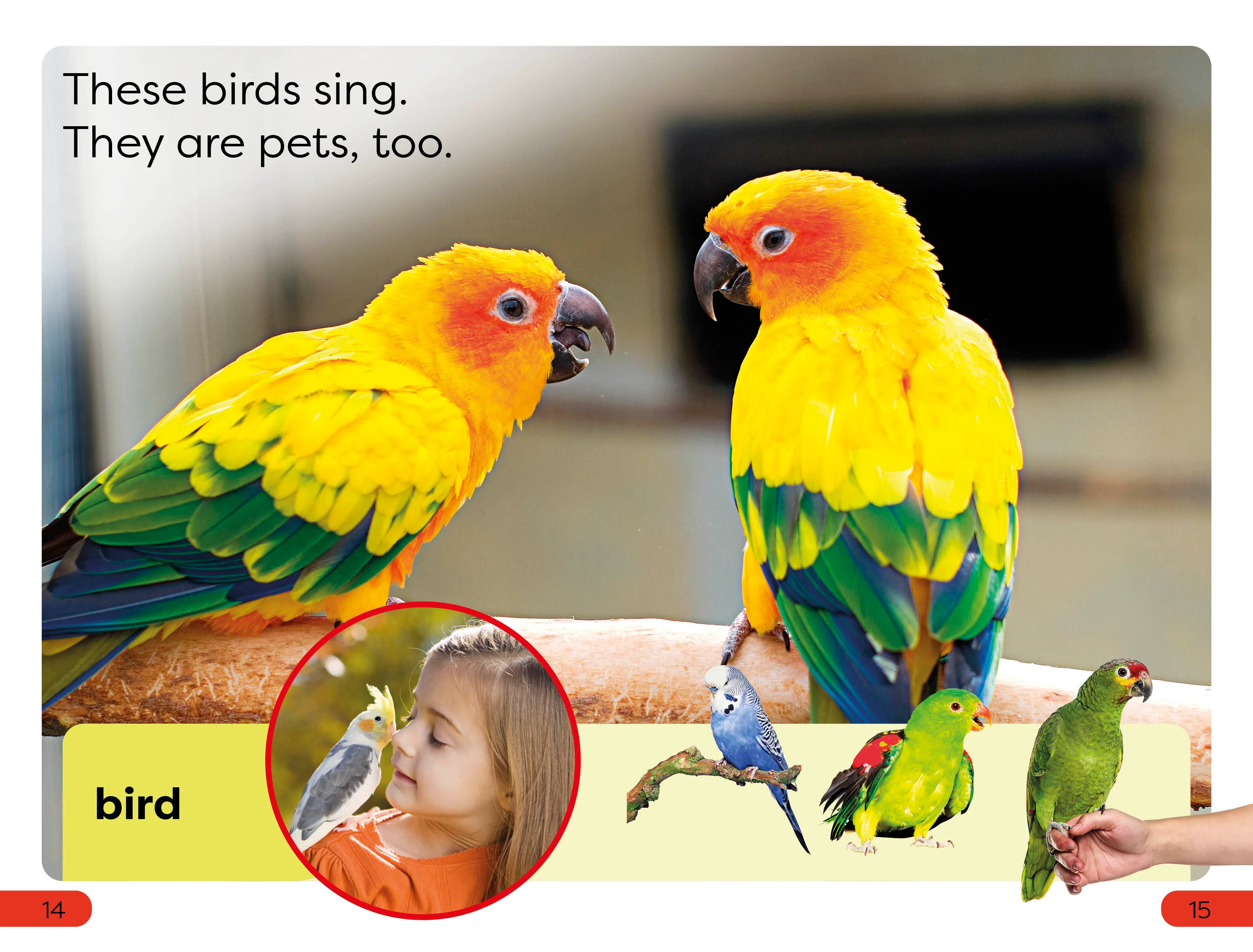 DK Super Readers Pre-Level Pets - Image 4
