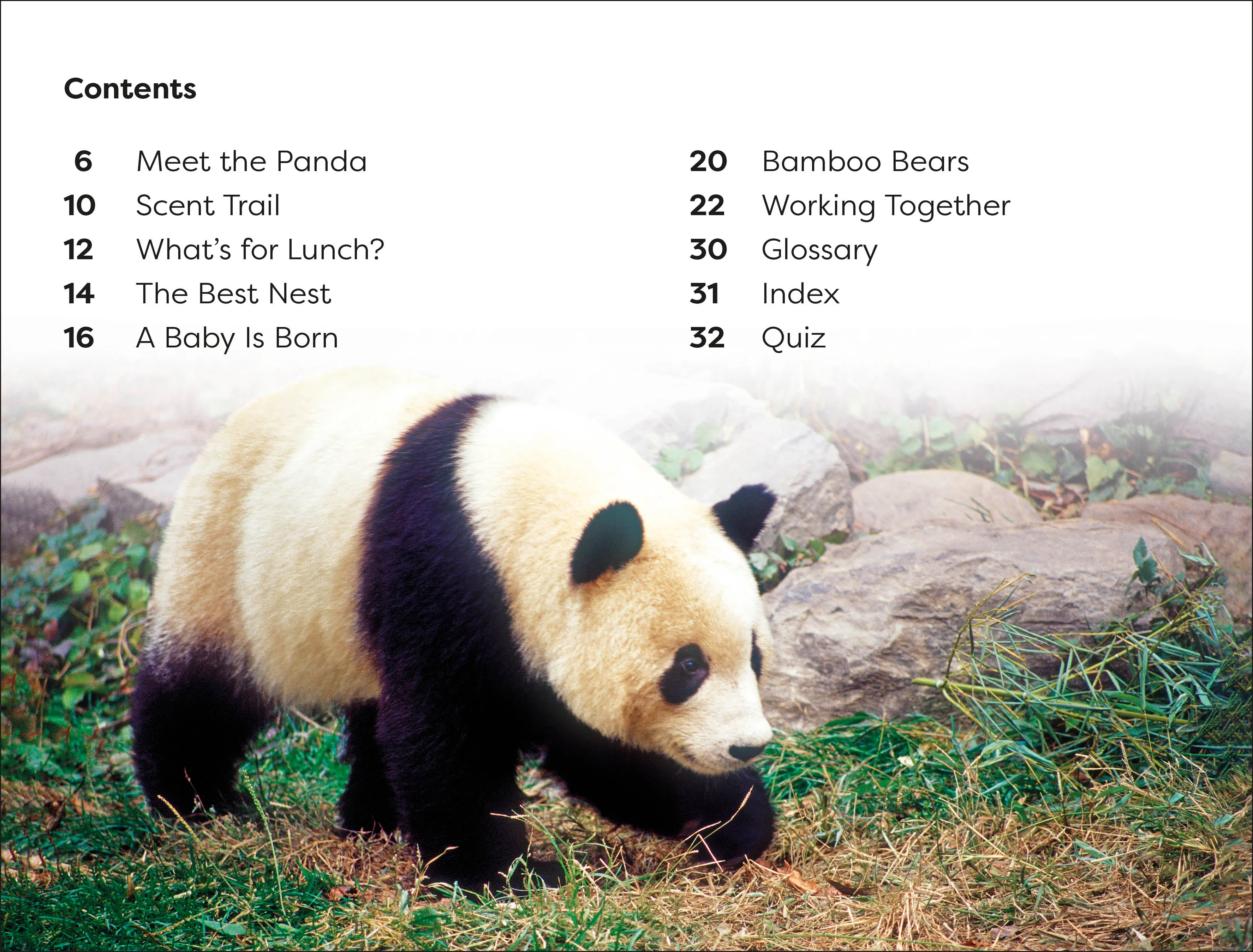 DK Super Readers Level 1 Save the Pandas - Image 2