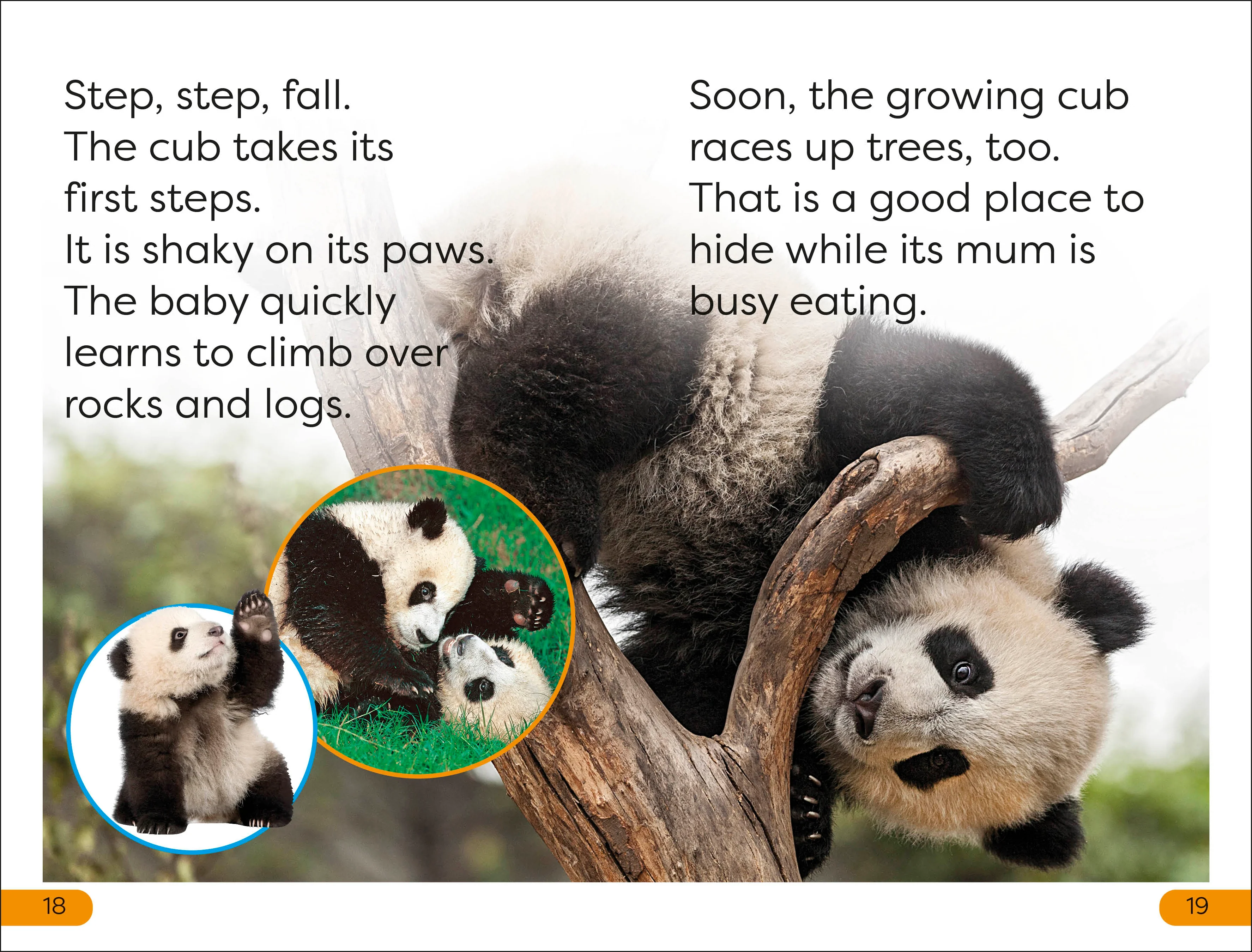 DK Super Readers Level 1 Save the Pandas - Image 3