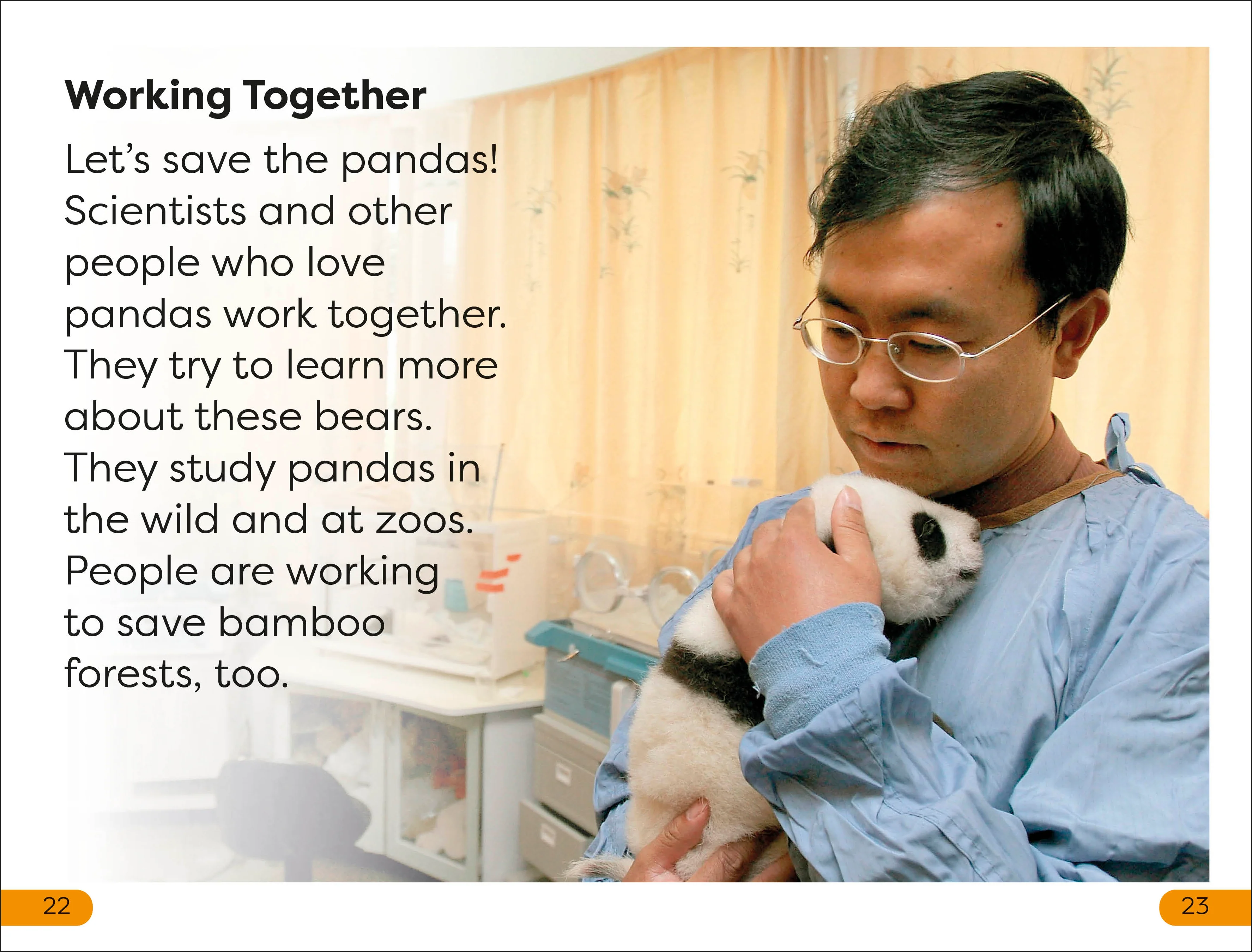 DK Super Readers Level 1 Save the Pandas - Image 4