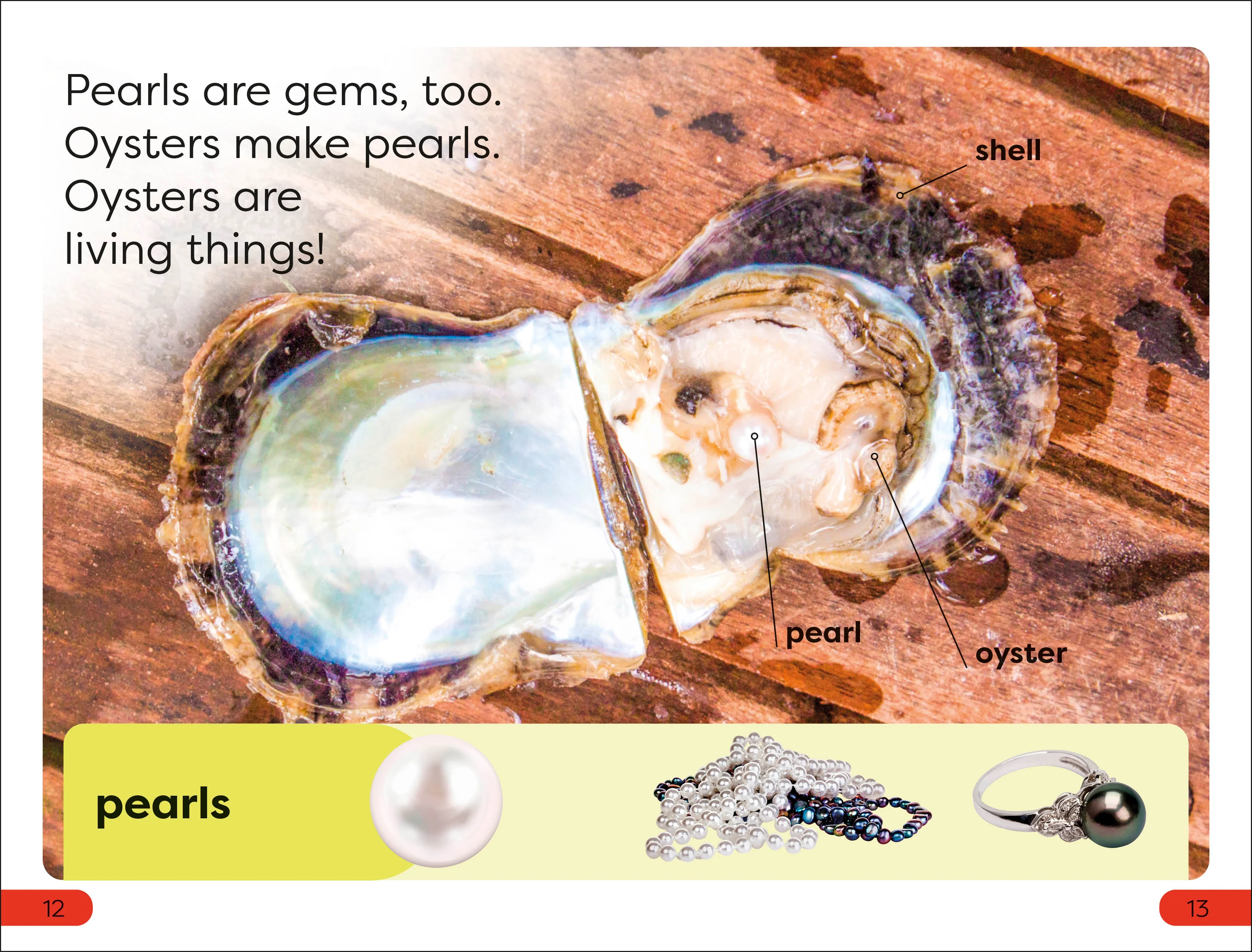 DK Super Readers Pre-Level Sparkly Gems - Image 3