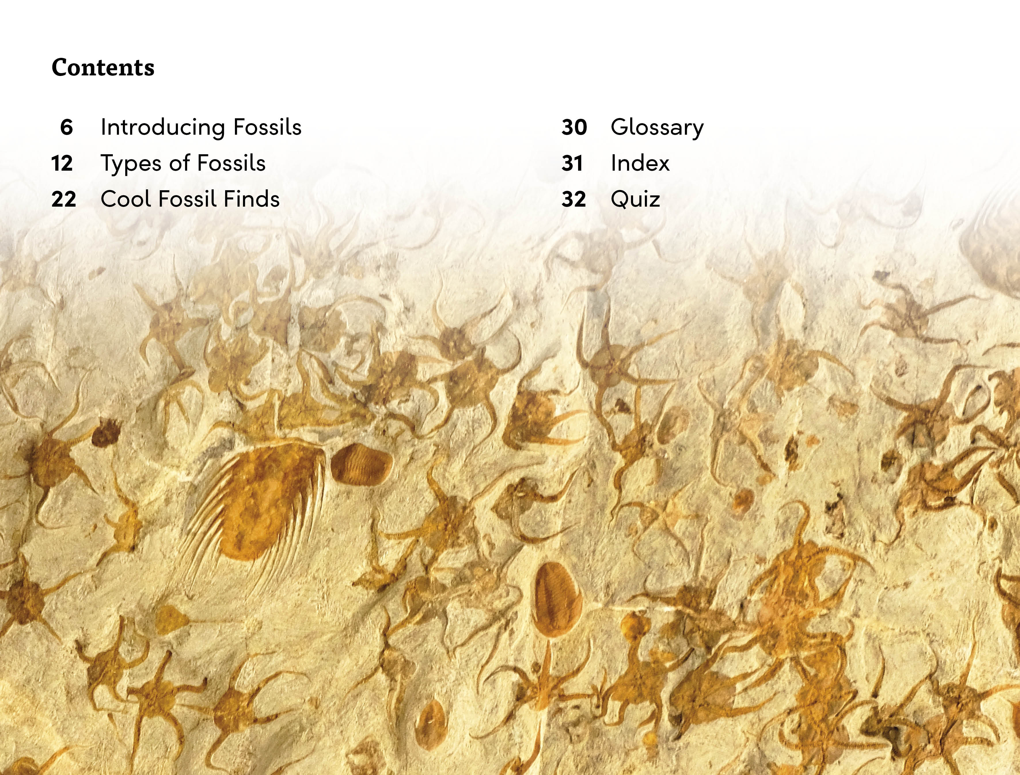 DK Super Readers Level 3 Fossils - Image 2