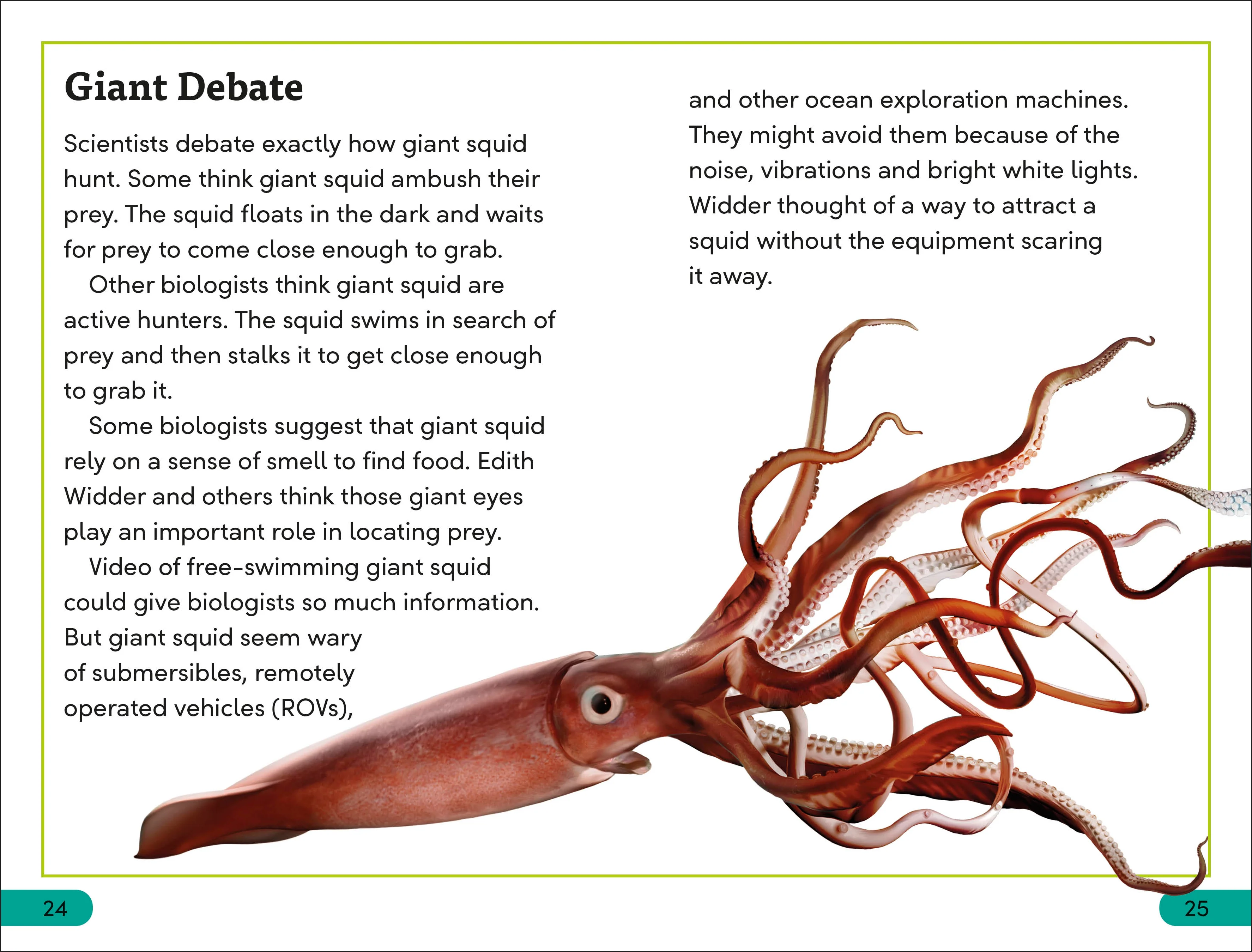 DK Super Readers Level 3 Giant Squid - Image 4