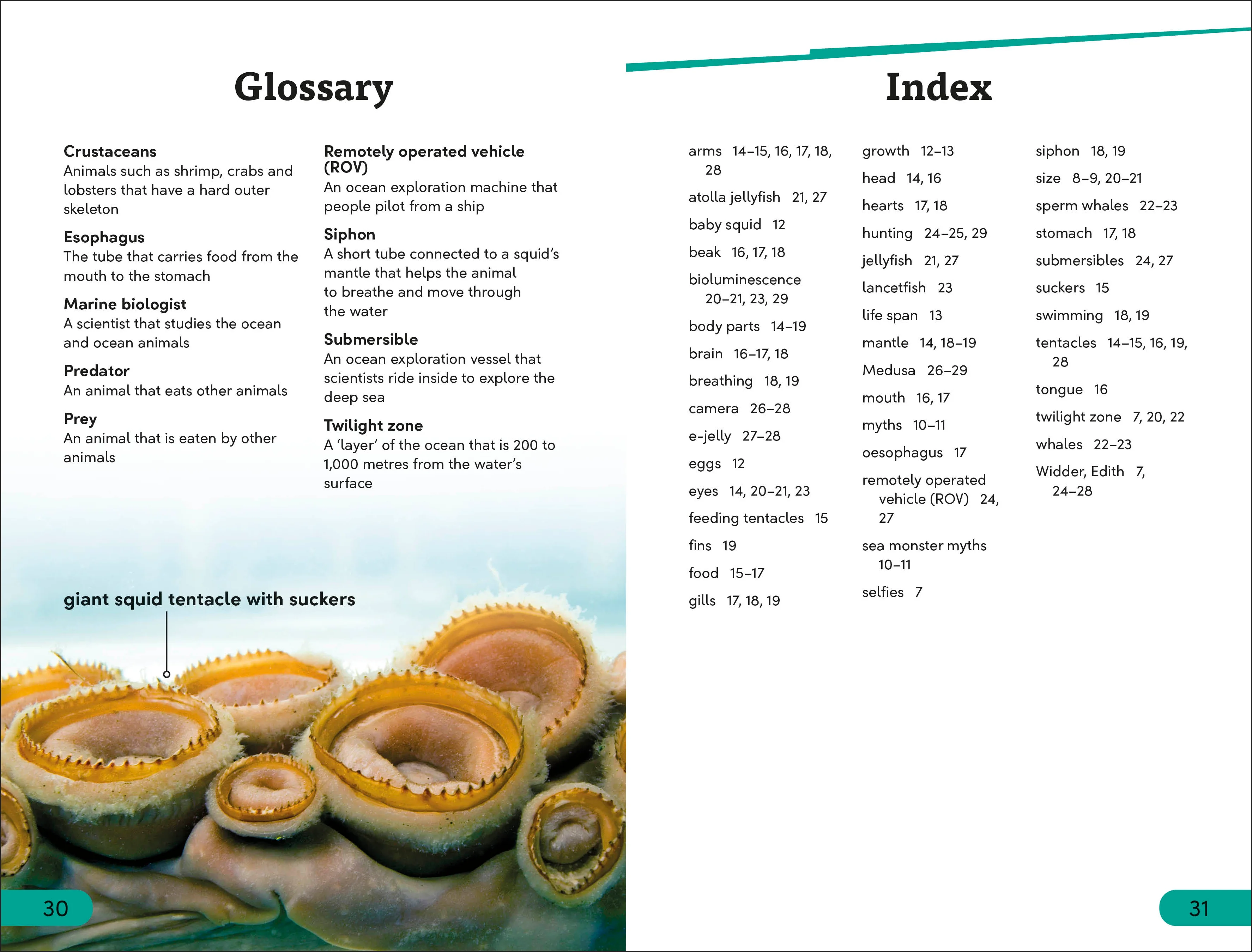 DK Super Readers Level 3 Giant Squid - Image 5