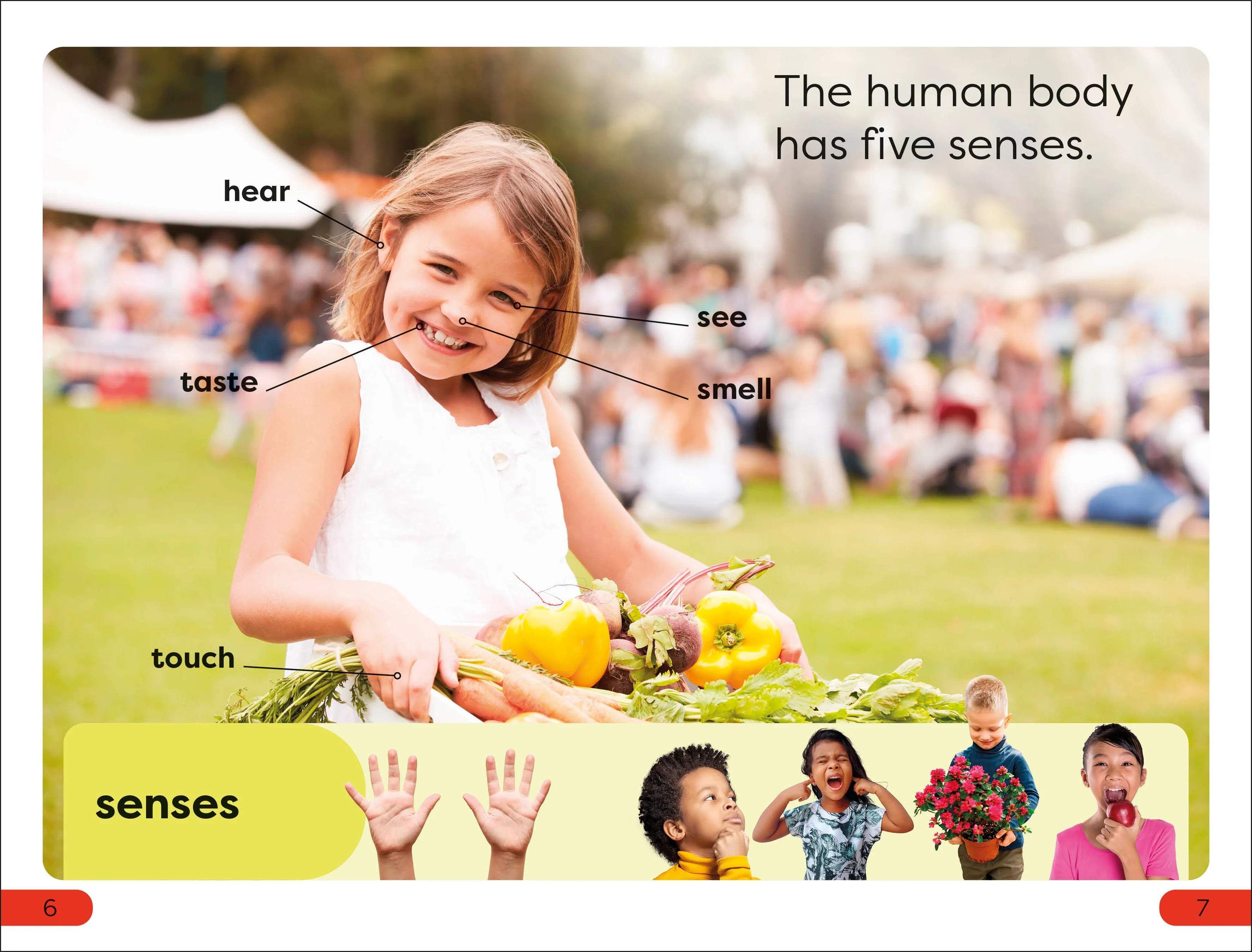DK Super Readers Pre-Level Five Senses - Image 3