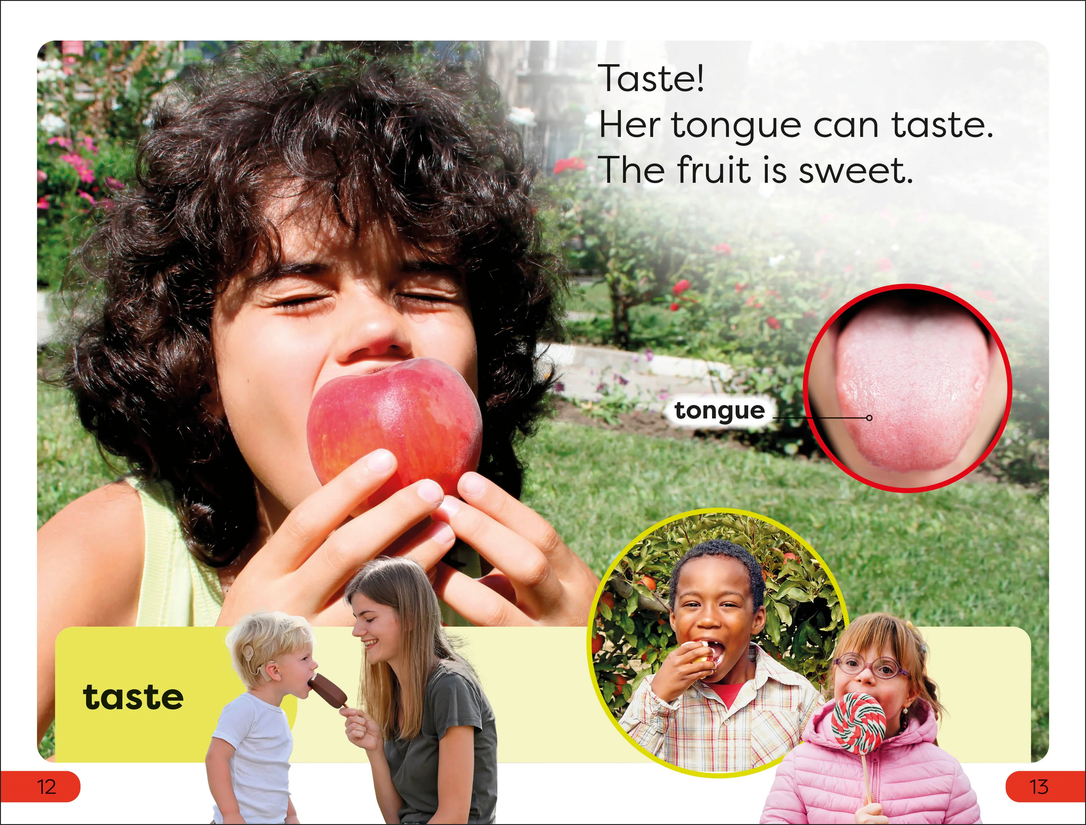DK Super Readers Pre-Level Five Senses - Image 4