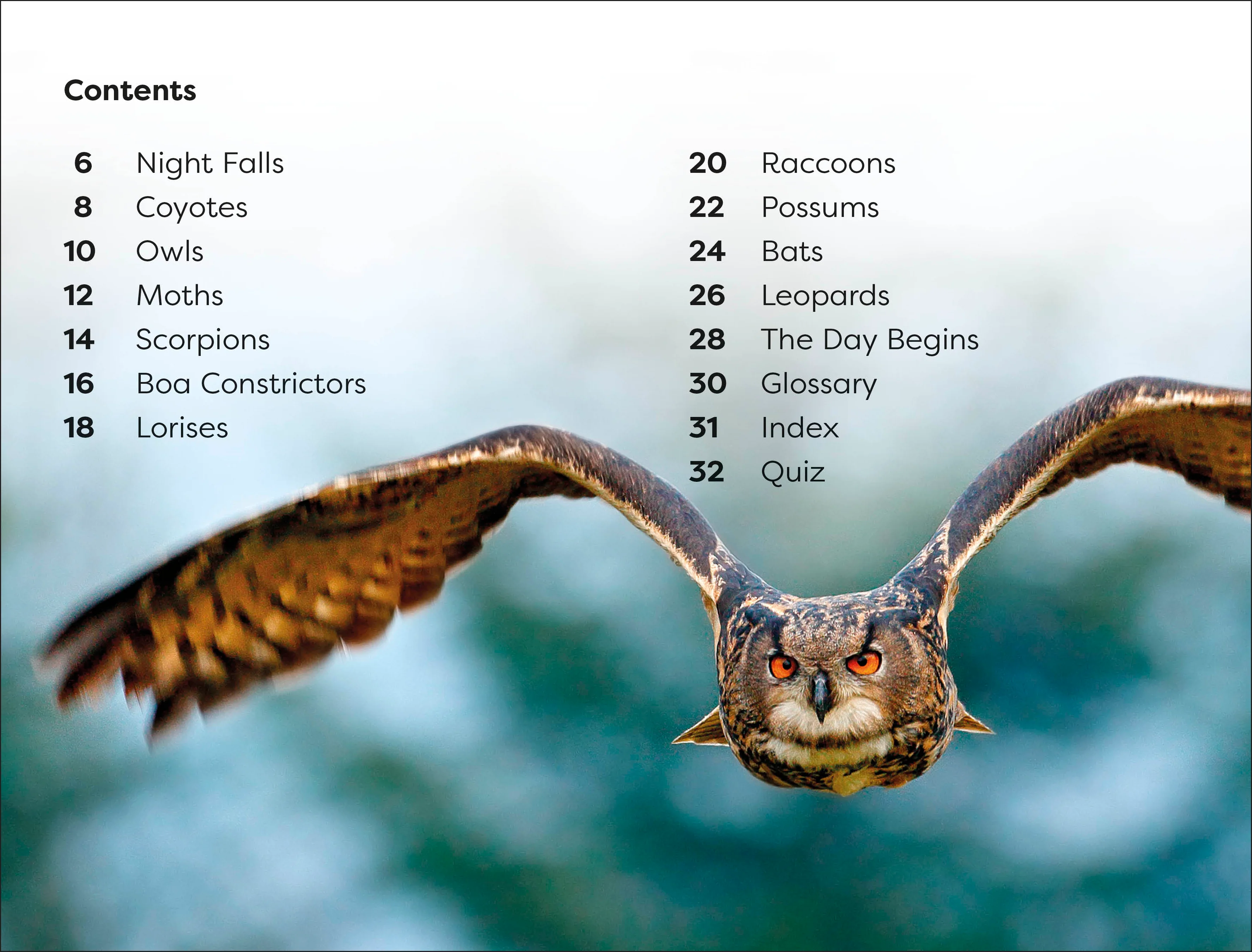 DK Super Readers Level 1 Night-time Animals - Image 2
