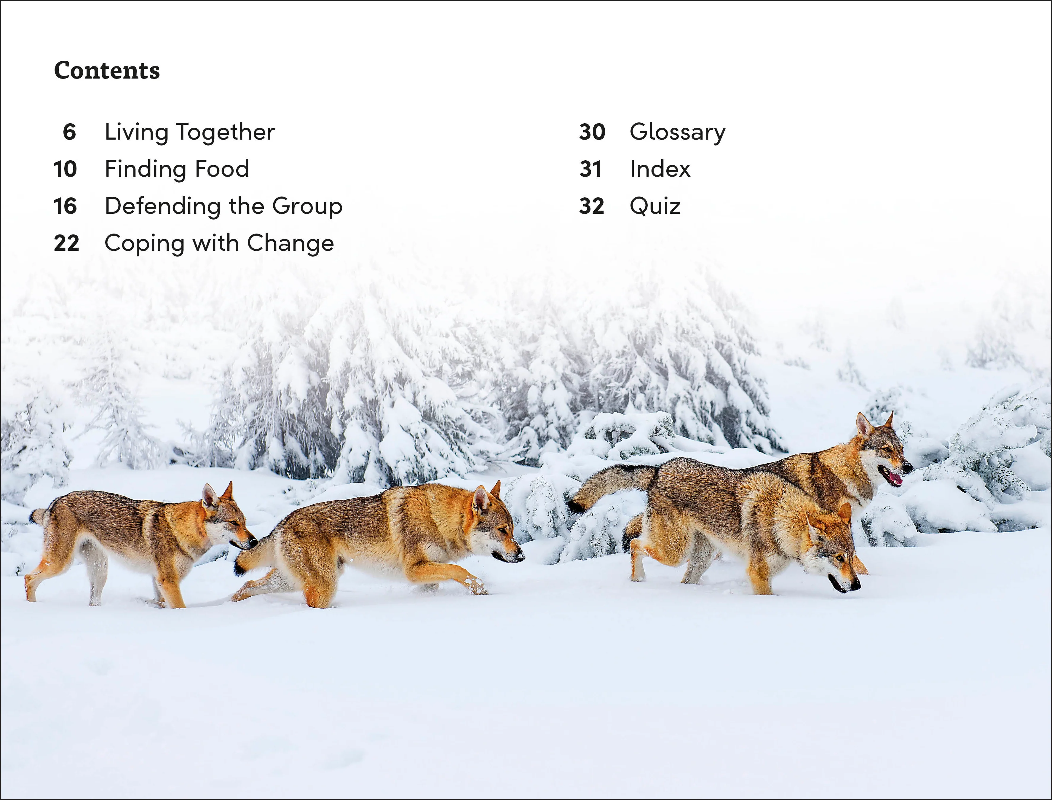 DK Super Readers Level 3 Wild Animal Groups - Image 2