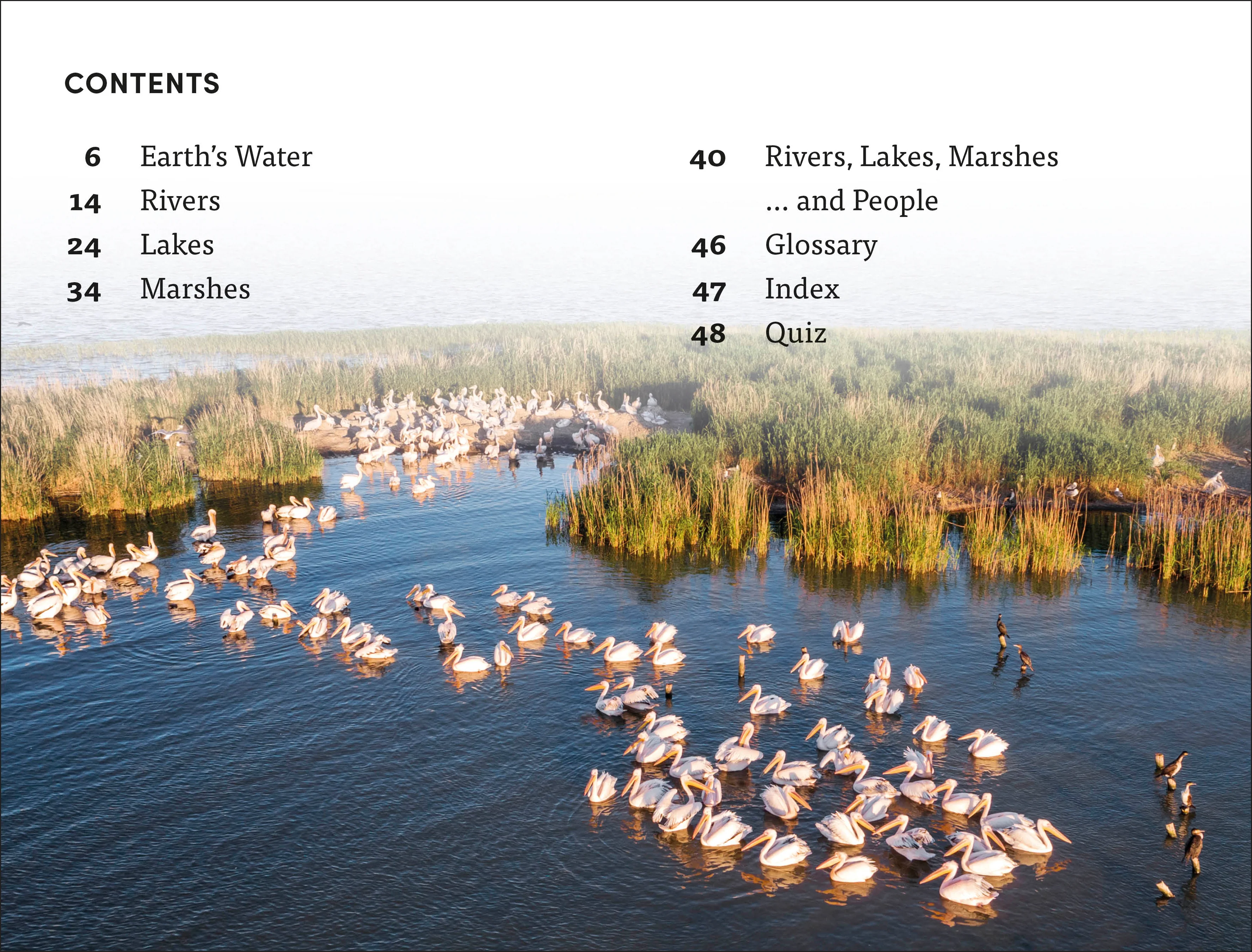 DK Super Readers Level 4 Rivers, Lakes and Marshes - Image 2