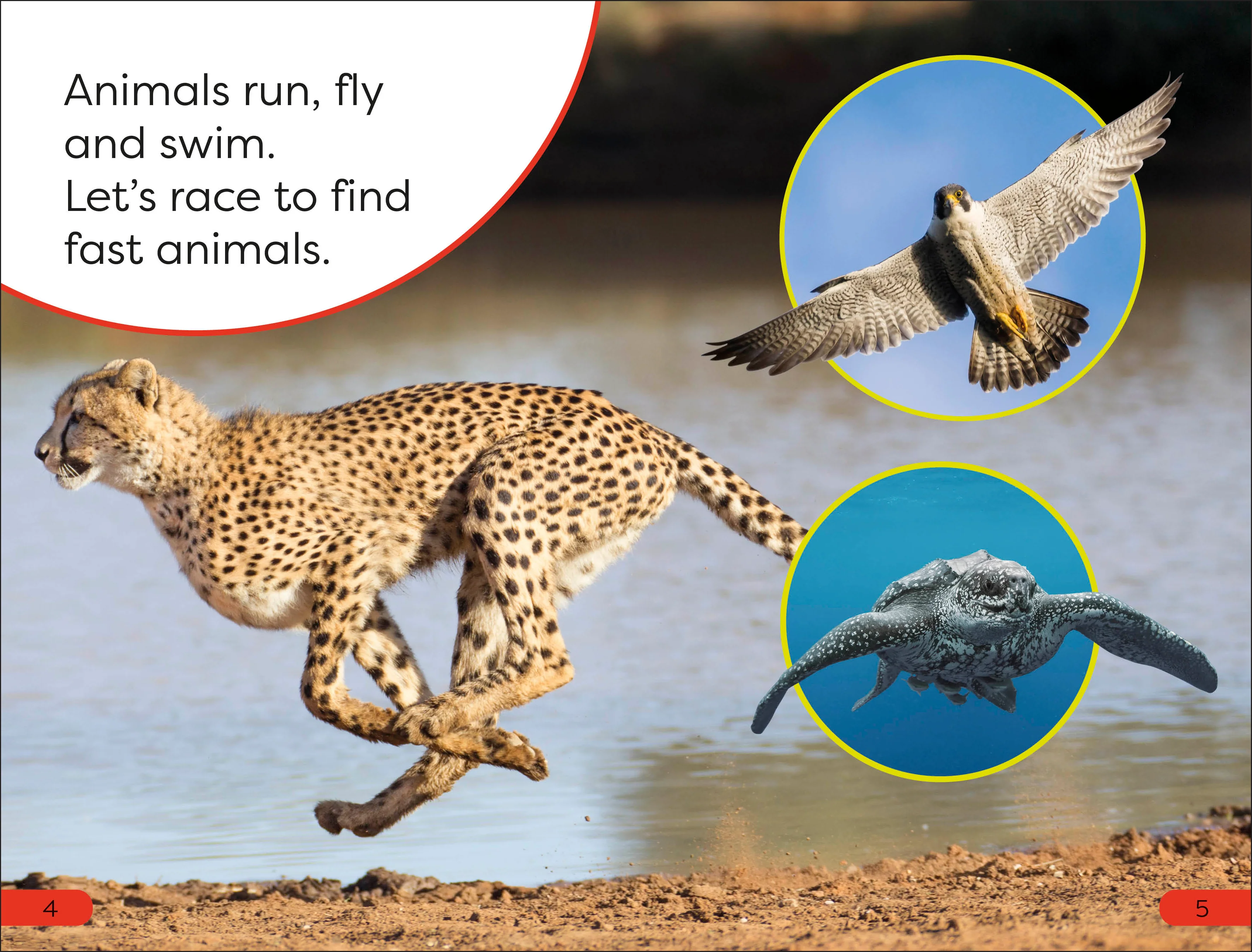 DK Super Readers Pre-Level Fast Animals - Image 2