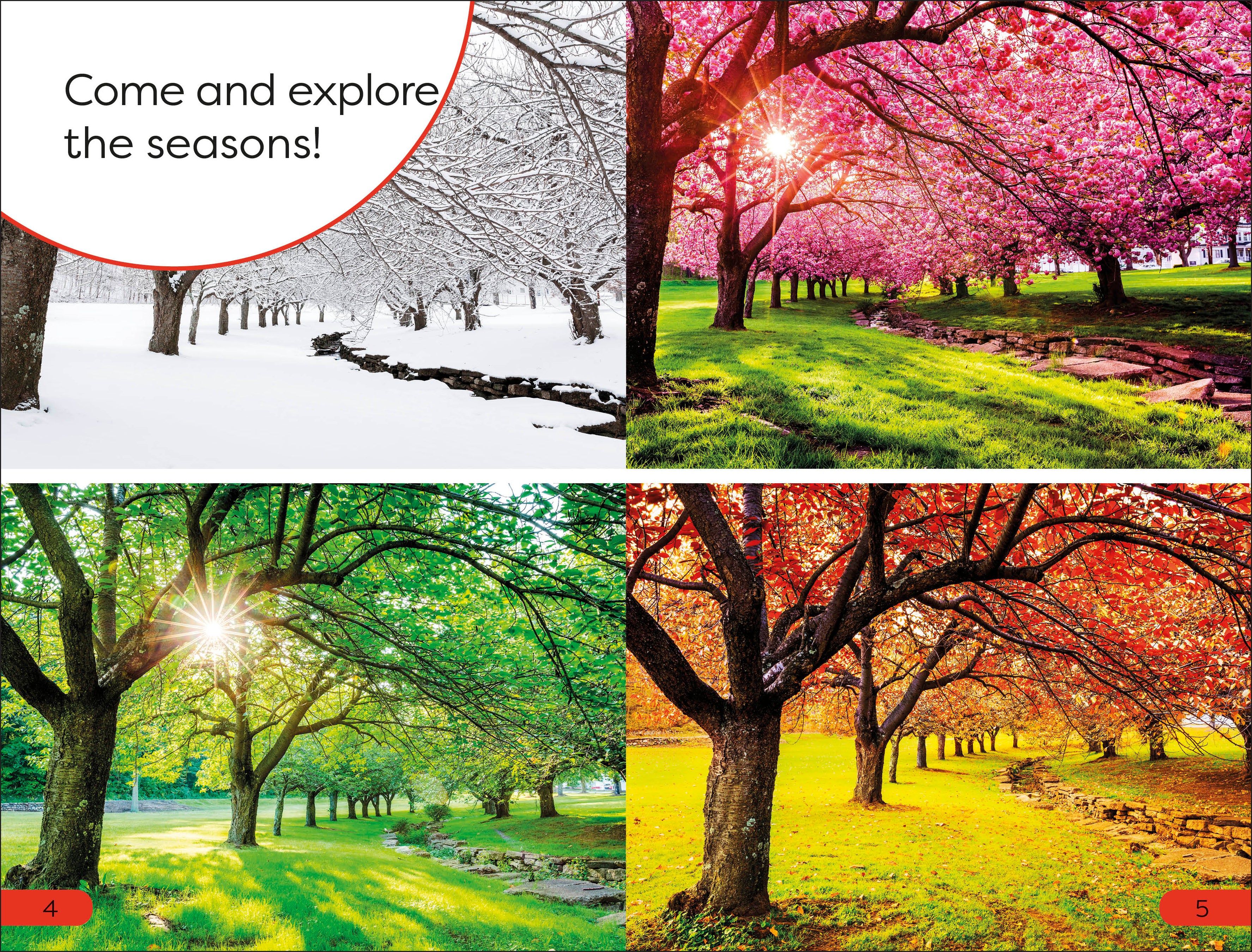 DK Super Readers Pre-Level Seasons - Image 2
