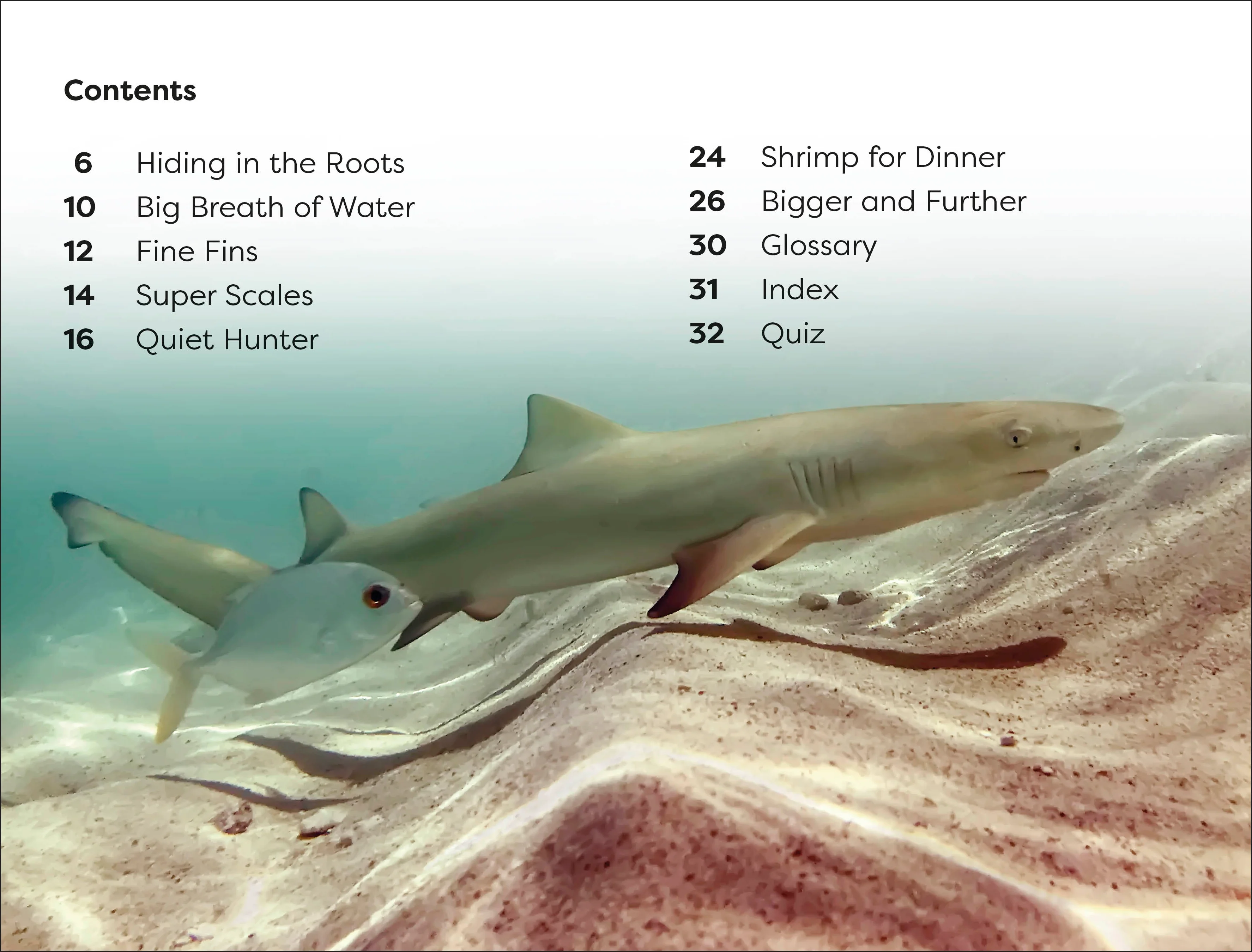 DK Super Readers Level 1 Life of a Baby Lemon Shark - Image 2
