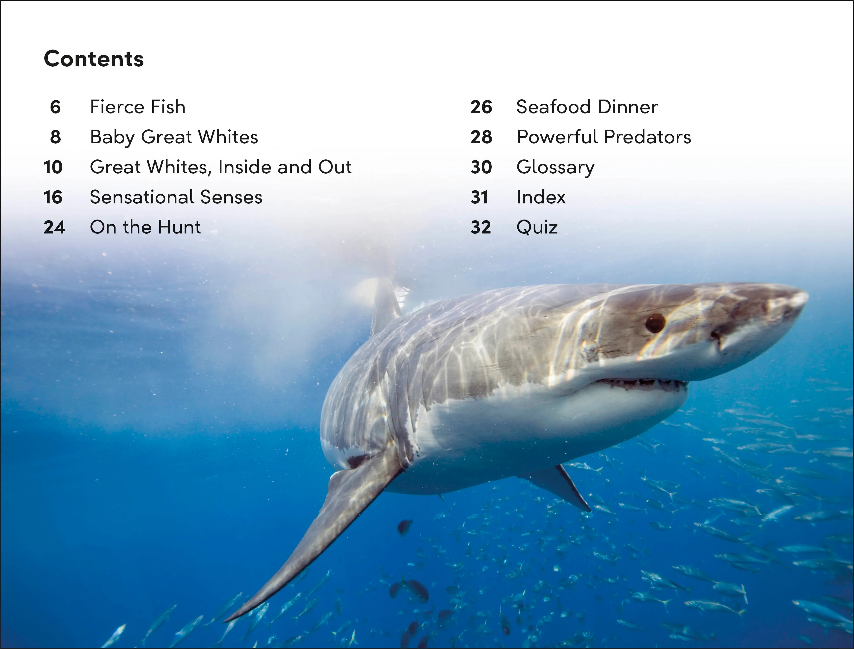 DK Super Readers Level 2 Great White Sharks - Image 2