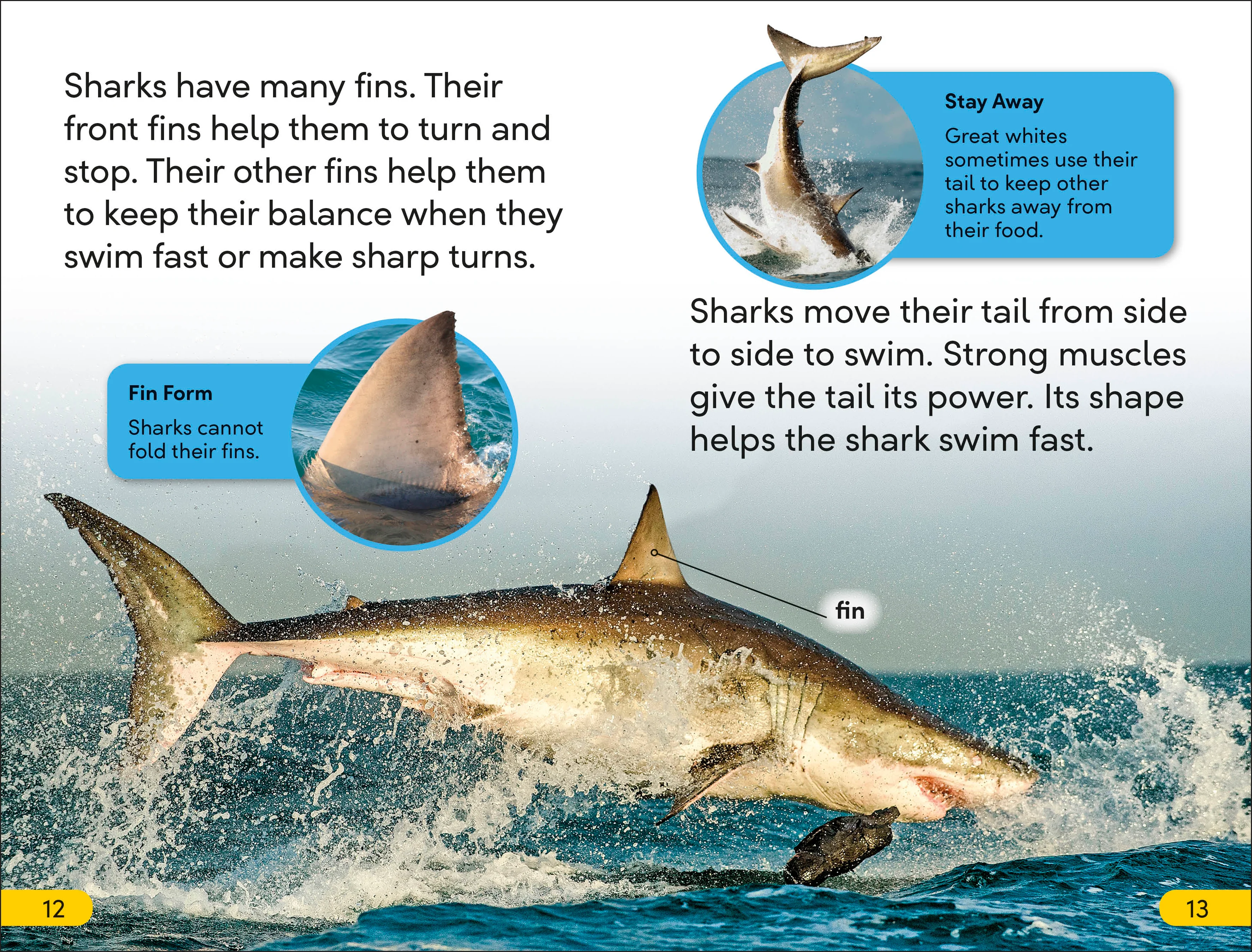 DK Super Readers Level 2 Great White Sharks - Image 3