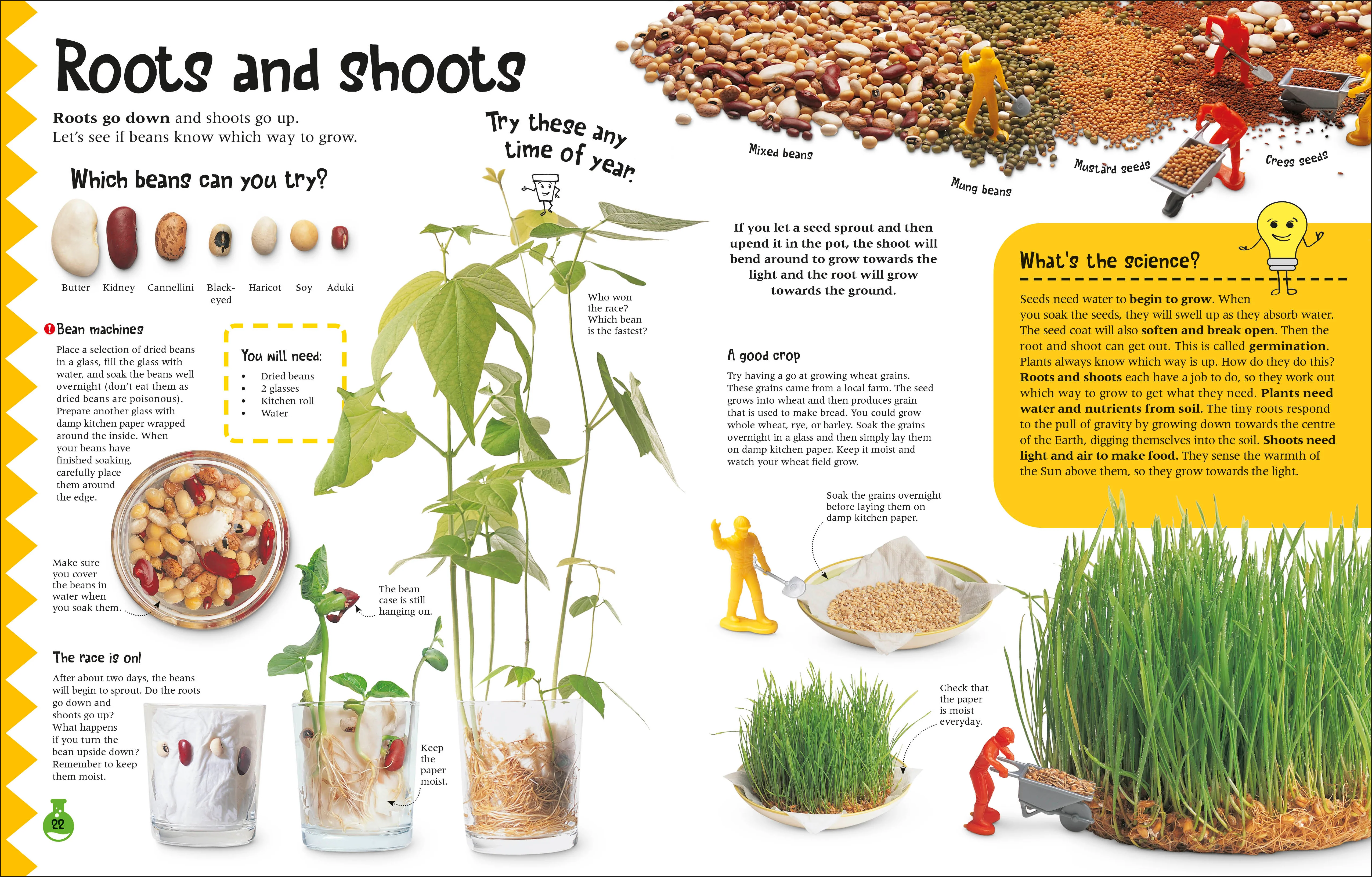 The Simple Science Activity Book - Image 3