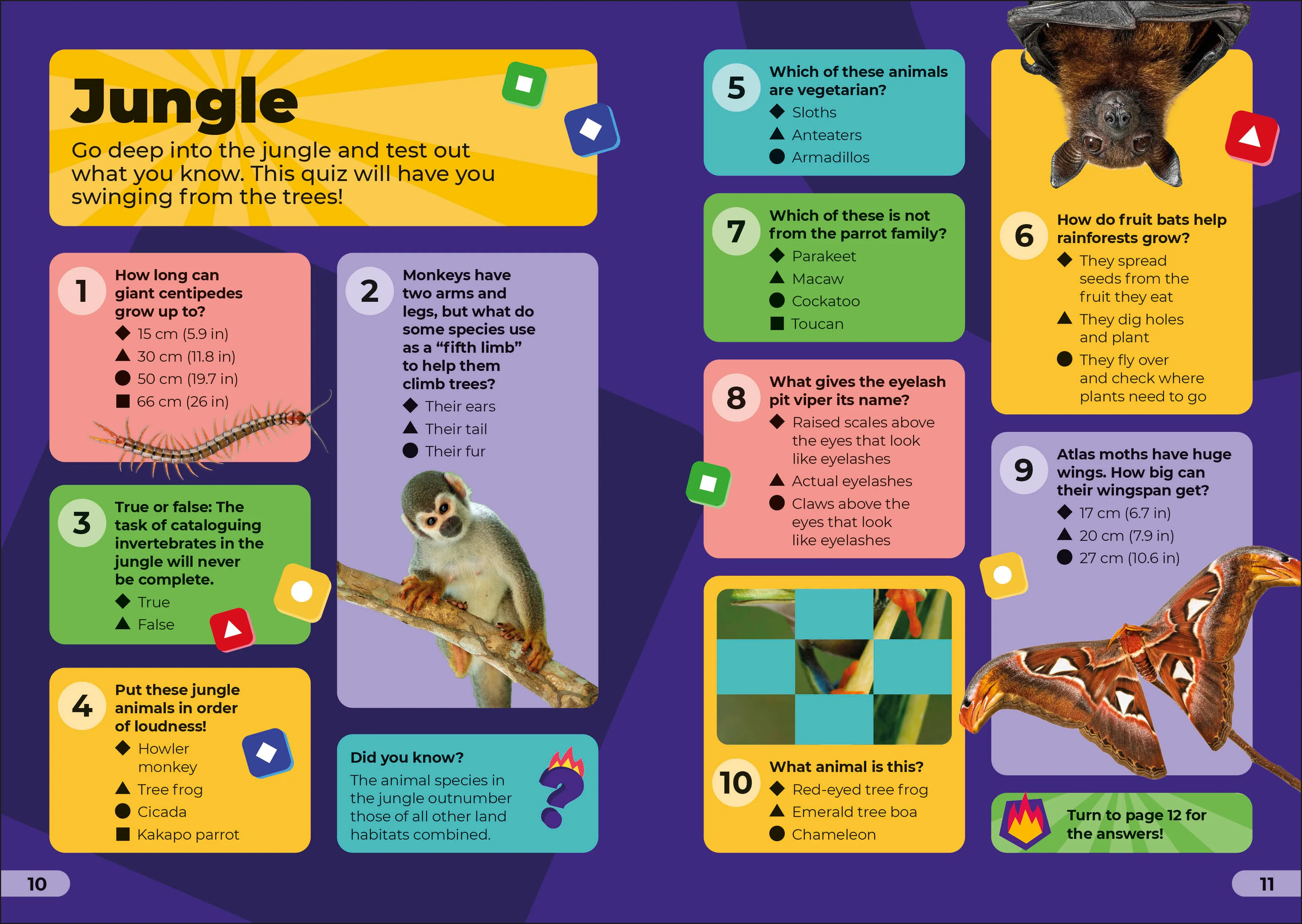 Kahoot! Quiz Time Animals - Image 2