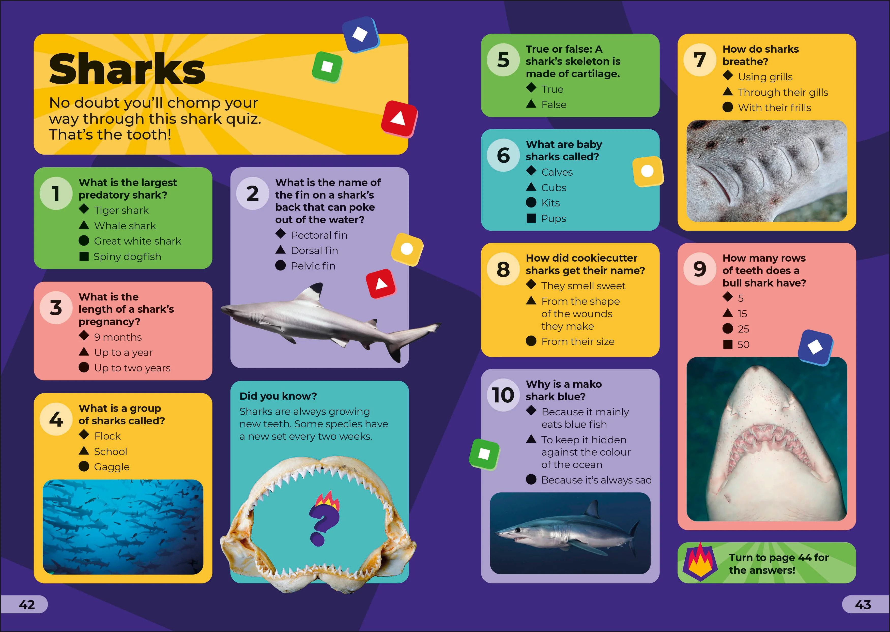 Kahoot! Quiz Time Animals - Image 4