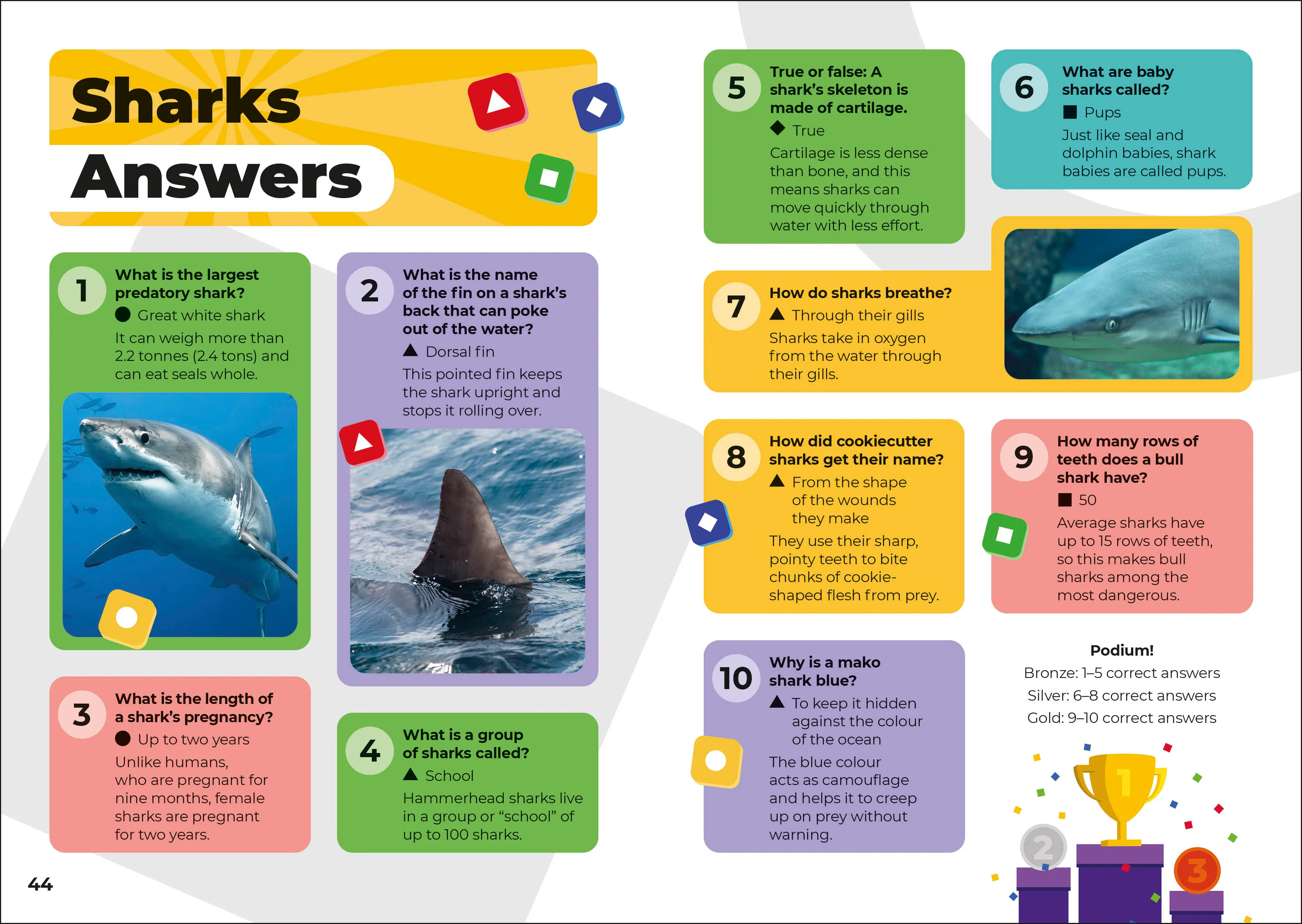 Kahoot! Quiz Time Animals - Image 5