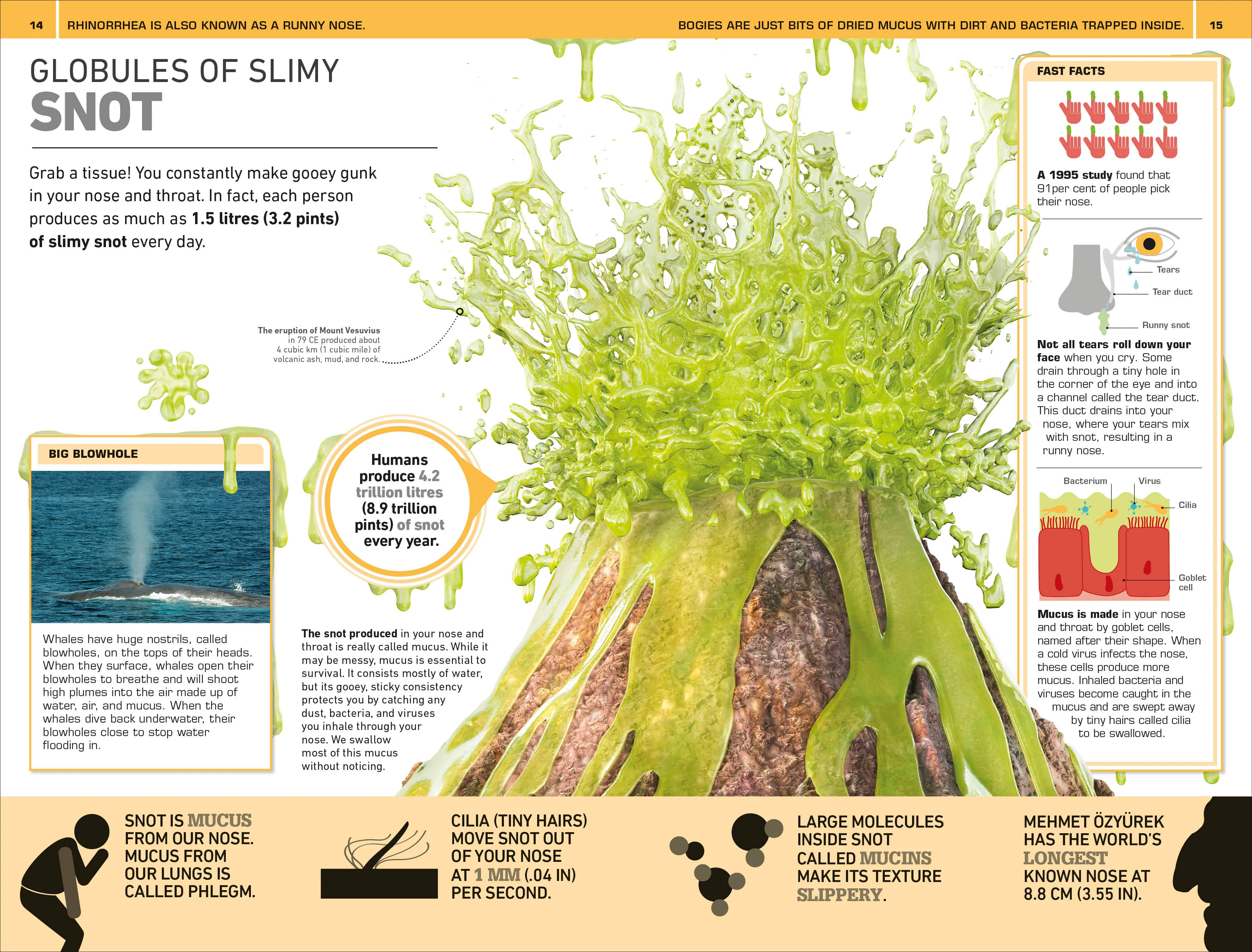 1,000 Amazing Gross Facts - Image 2