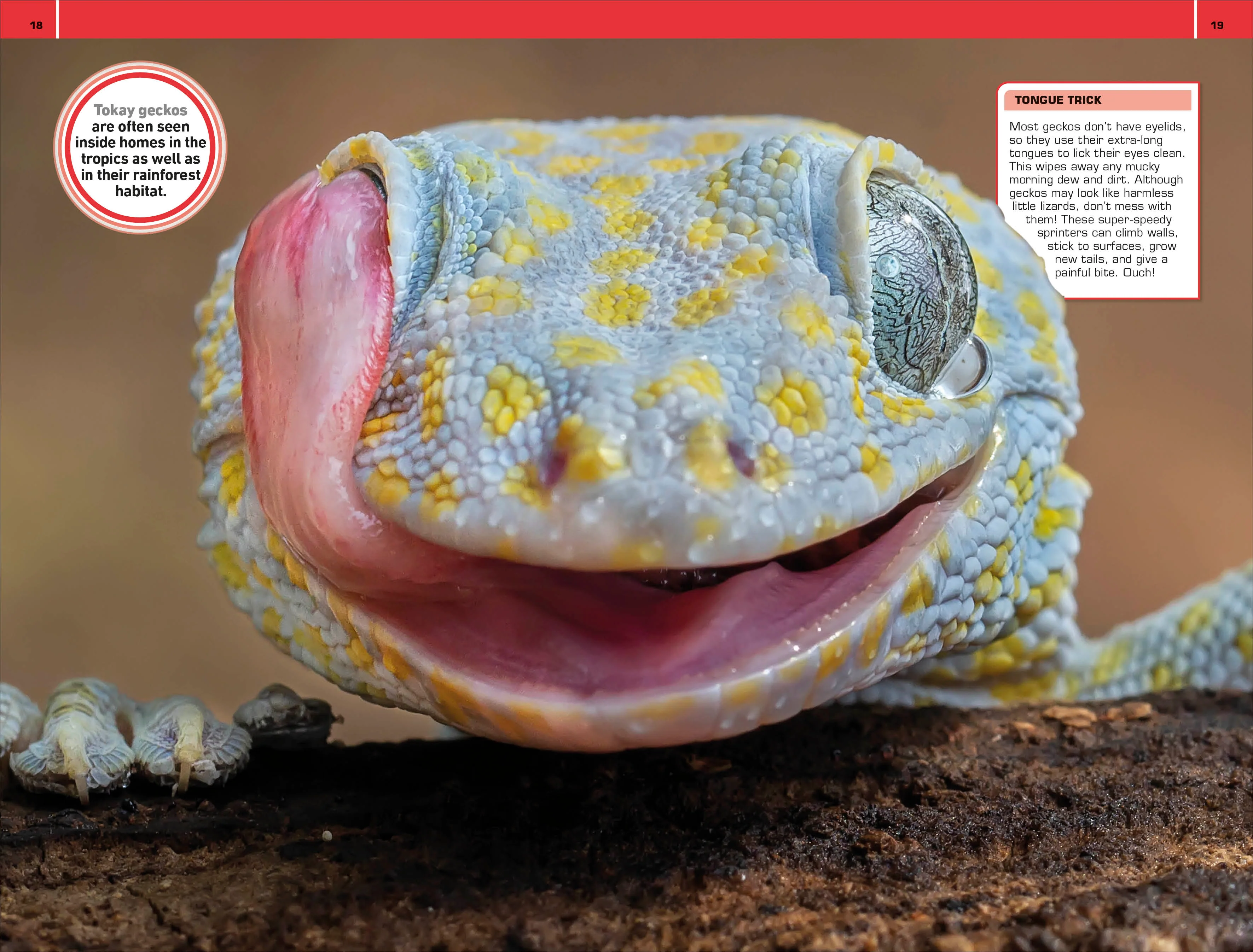 1,000 Amazing Gross Facts - Image 3