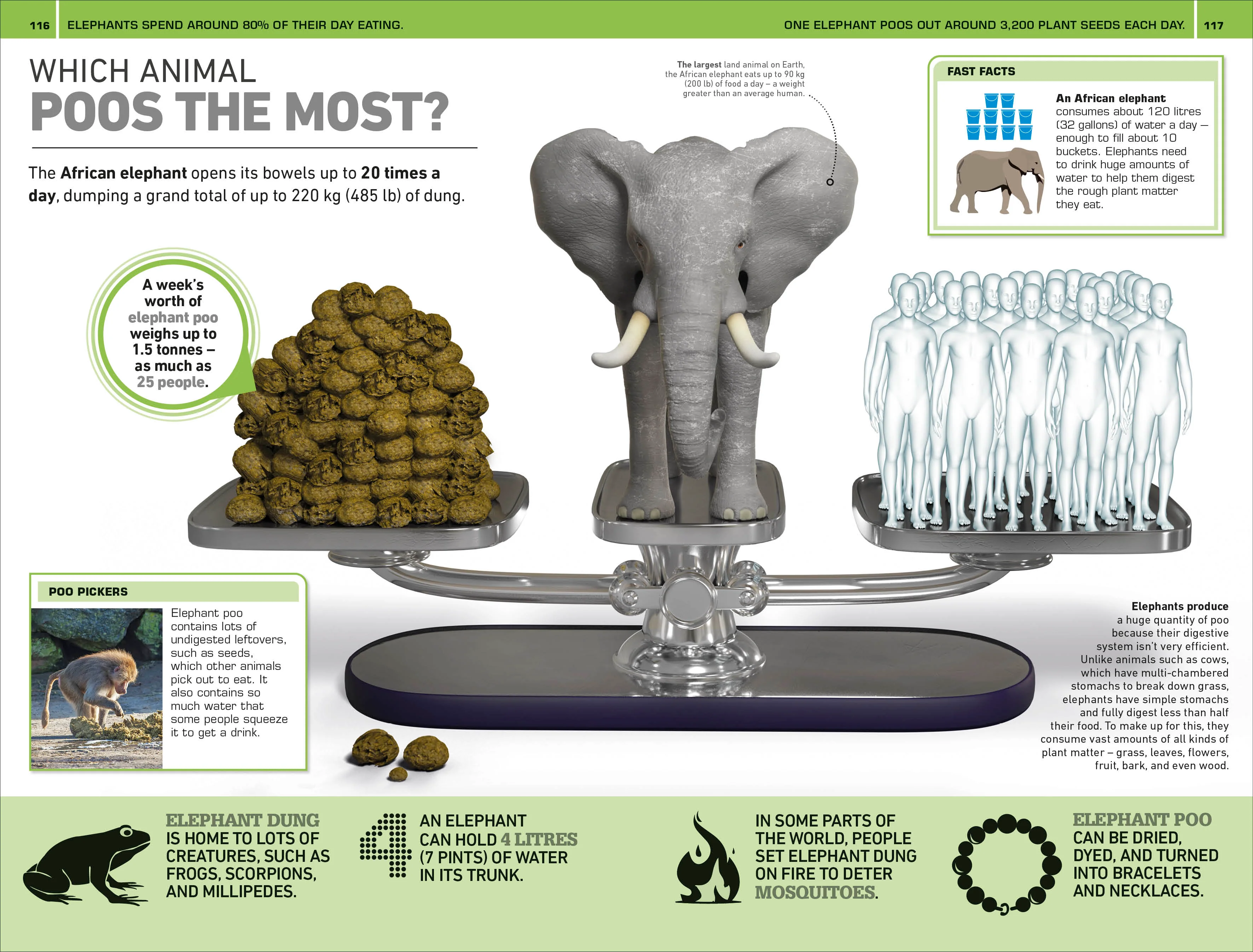 1,000 Amazing Gross Facts - Image 4