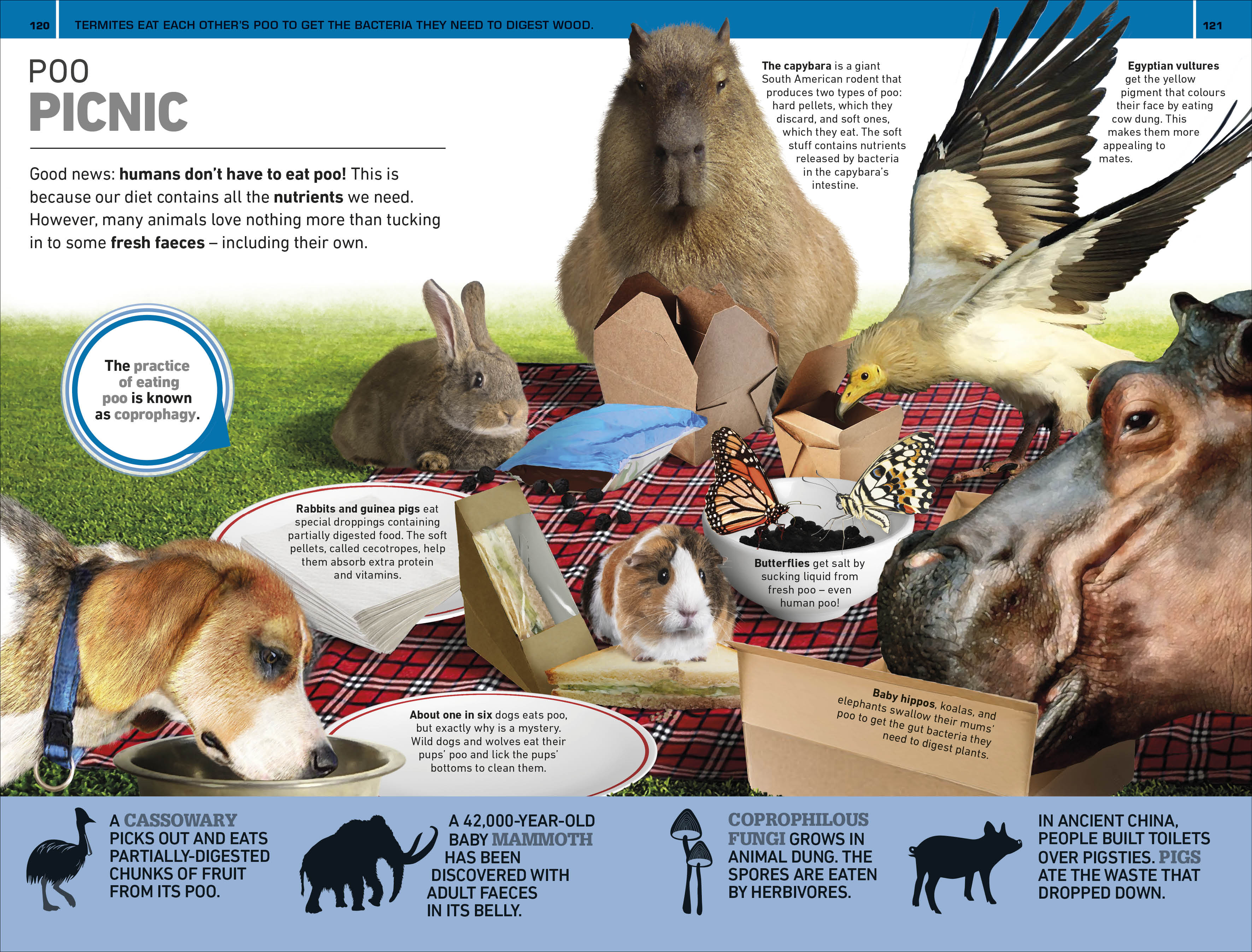 1,000 Amazing Gross Facts - Image 5